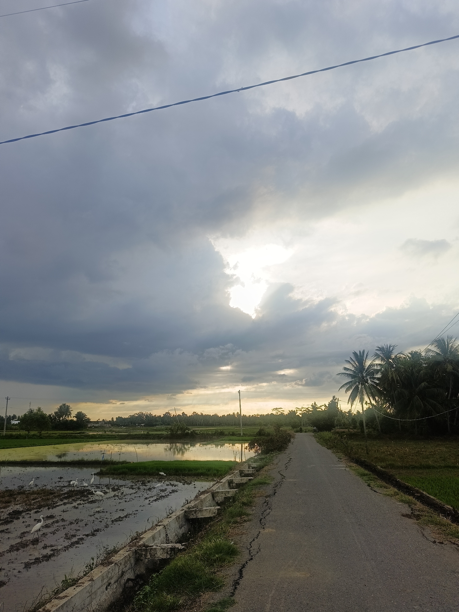 The image depicts a rural landscape in Teupinjok, Indonesia. A paved road runs diagonally through the scene, flanked by agricultural fields and a line of coconut trees on the right. On the left, a flooded paddy field is visible, with several white egrets wading in the shallow water. The sky is overcast with dramatic clouds, but a bright patch of sunlight breaks through in the upper center of the frame, suggesting either dawn or dusk. Overhead, two wires stretch across the sky. The overall impression is one of a serene, agricultural setting under a dynamic sky.