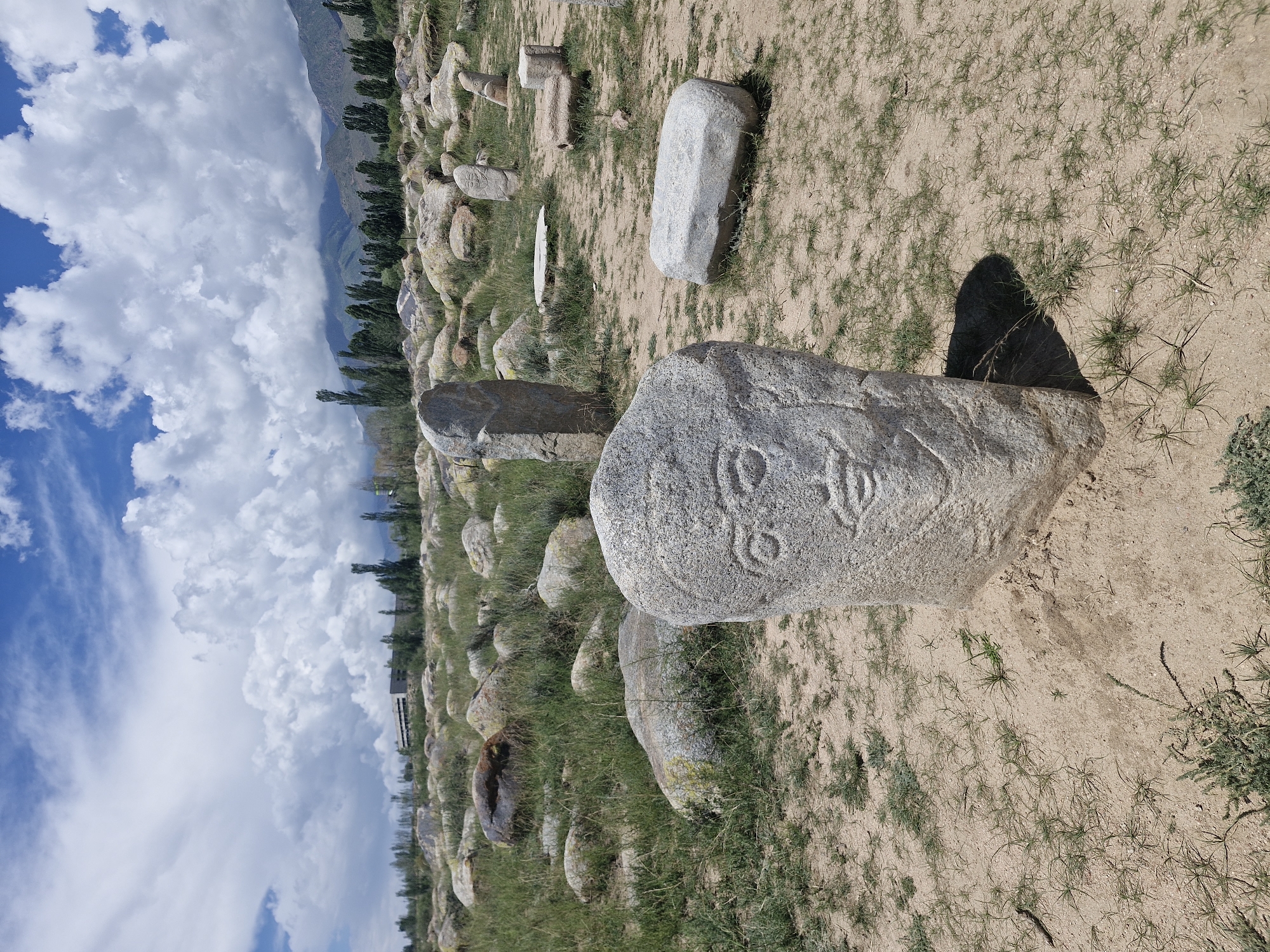 The image shows a stone statue with carved facial features, located in an outdoor archaeological site. The statue is rough-hewn and stands upright in a field of grass and rocks. In the background, there are more stones of various sizes, some appearing to be ancient markers or ruins. Beyond the field, a line of trees stretches across the landscape, with mountains visible in the distance under a partly cloudy sky. This scene is characteristic of the open-air museum of petroglyphs in Cholpon-Ata, Kyrgyzstan, known for its collection of ancient rock carvings and stone artifacts.