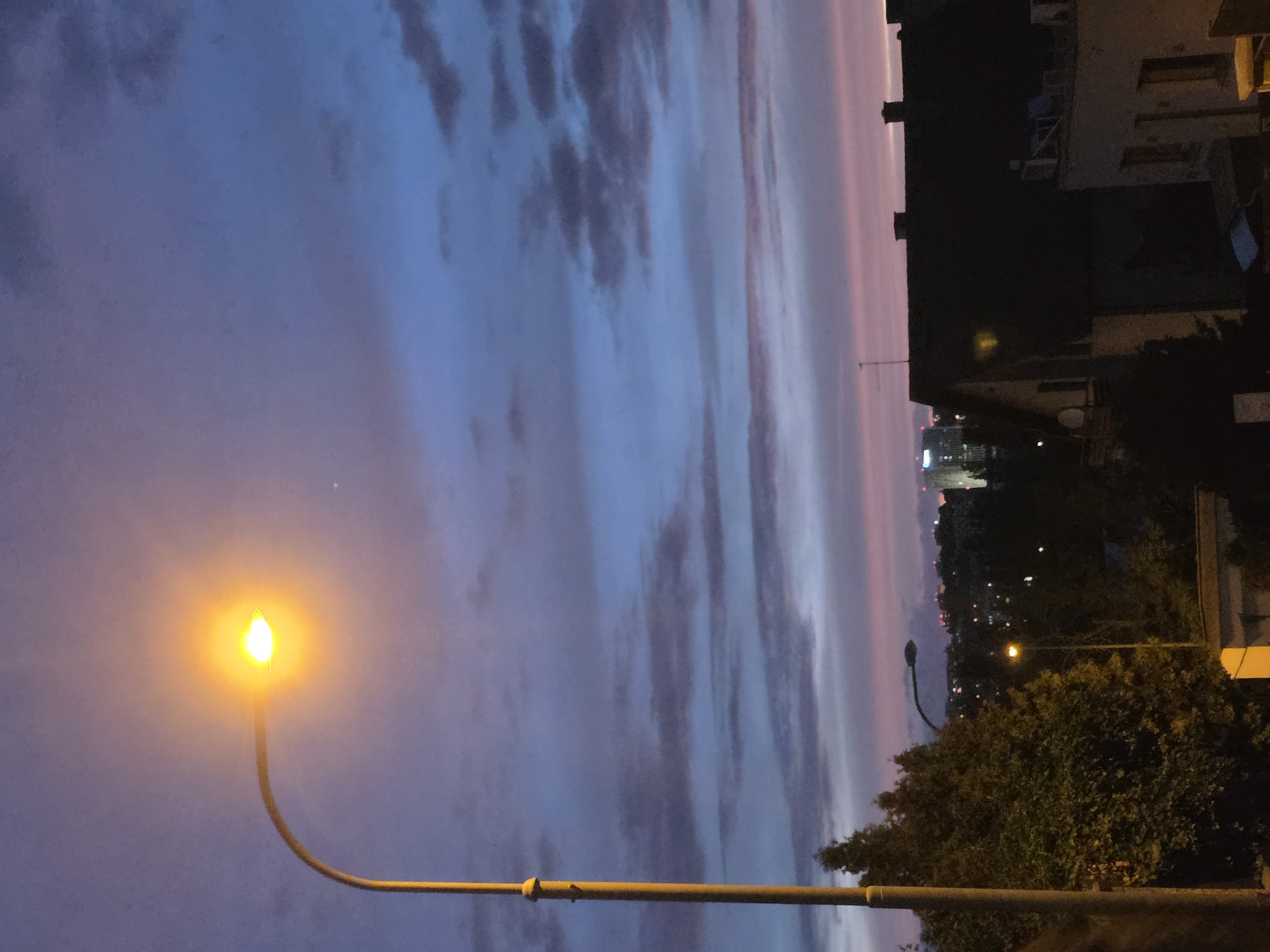 This is a vertical, nighttime photograph taken outdoors. The scene is dominated by a dusky sky filled with streaks of purple, pink, and blue clouds. A single street lamp illuminates the left side of the frame with a warm, orange glow, casting light onto the surrounding sky. To the right, the silhouettes of buildings are visible against the fading light, with some windows appearing lit. Dense foliage, likely trees, occupies the lower right portion of the image. Distant city lights can be seen on the horizon, suggesting an urban or suburban environment. The overall mood is tranquil and serene, characteristic of twilight or early evening. No people or specific text are discernible in the image.