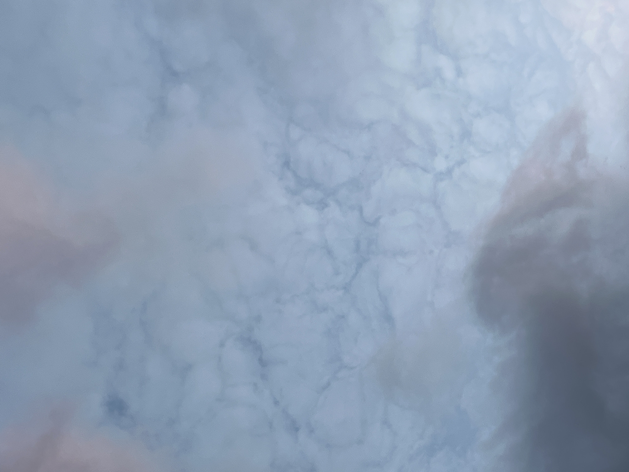 The image is a close-up, low-angle shot of a cloudy sky. The clouds are thin and wispy, with a pale blue hue, suggesting it is either early morning or late evening. There are also some darker, denser clouds present, particularly in the lower portion of the frame, which are tinged with a pinkish-purple color, possibly indicating the influence of sunset or sunrise. The textures of the clouds are varied, with some appearing smooth and others more textured and fractured. The overall impression is one of a dynamic and atmospheric sky. There are no discernible features of a city, nor any people or objects.