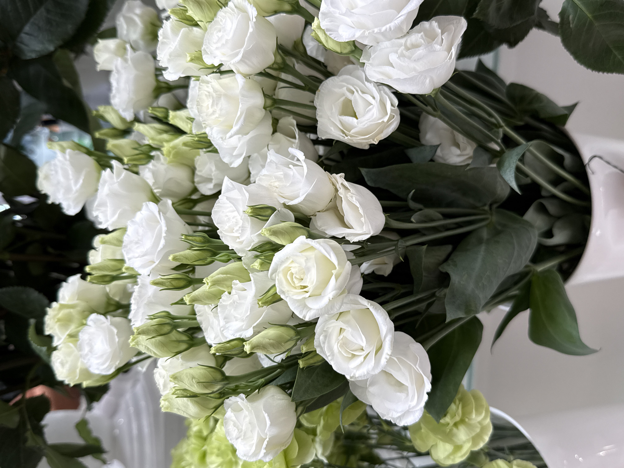 A close-up, eye-level, vertical shot showcases a lush bouquet of white Eustoma flowers with some green buds and leaves, arranged in a white vase. The flowers are the primary subject, filling most of the frame with their delicate petals and varying stages of bloom. The background is softly blurred, hinting at a retail or display environment, possibly a flower shop in Wrocław, Poland, given the context of the request. No people are visible, and the focus is entirely on the floral arrangement, emphasizing its natural beauty and texture. The lighting appears soft and diffused, highlighting the white tones of the flowers and creating subtle shadows that add depth. The overall impression is one of floral elegance and freshness.