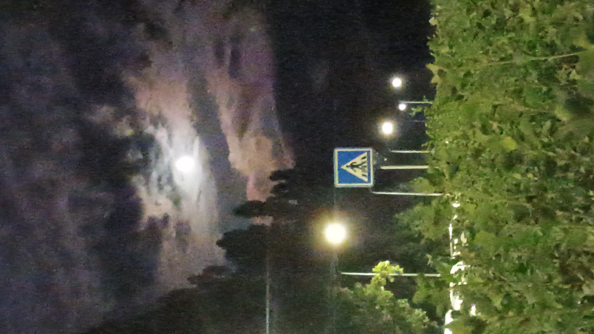 The image depicts a night scene in Sokolov, Czechia. A full moon is visible through dark, cloudy skies. In the foreground, lush green foliage is prominent. Behind the foliage, a pedestrian crossing sign is illuminated by streetlights, alongside other streetlights in the distance. The scene appears to be an outdoor area, possibly a roadside or park, with a road or parking lot partially visible behind the vegetation. The overall atmosphere is serene and somewhat mystical due to the moonlight and the darkness.