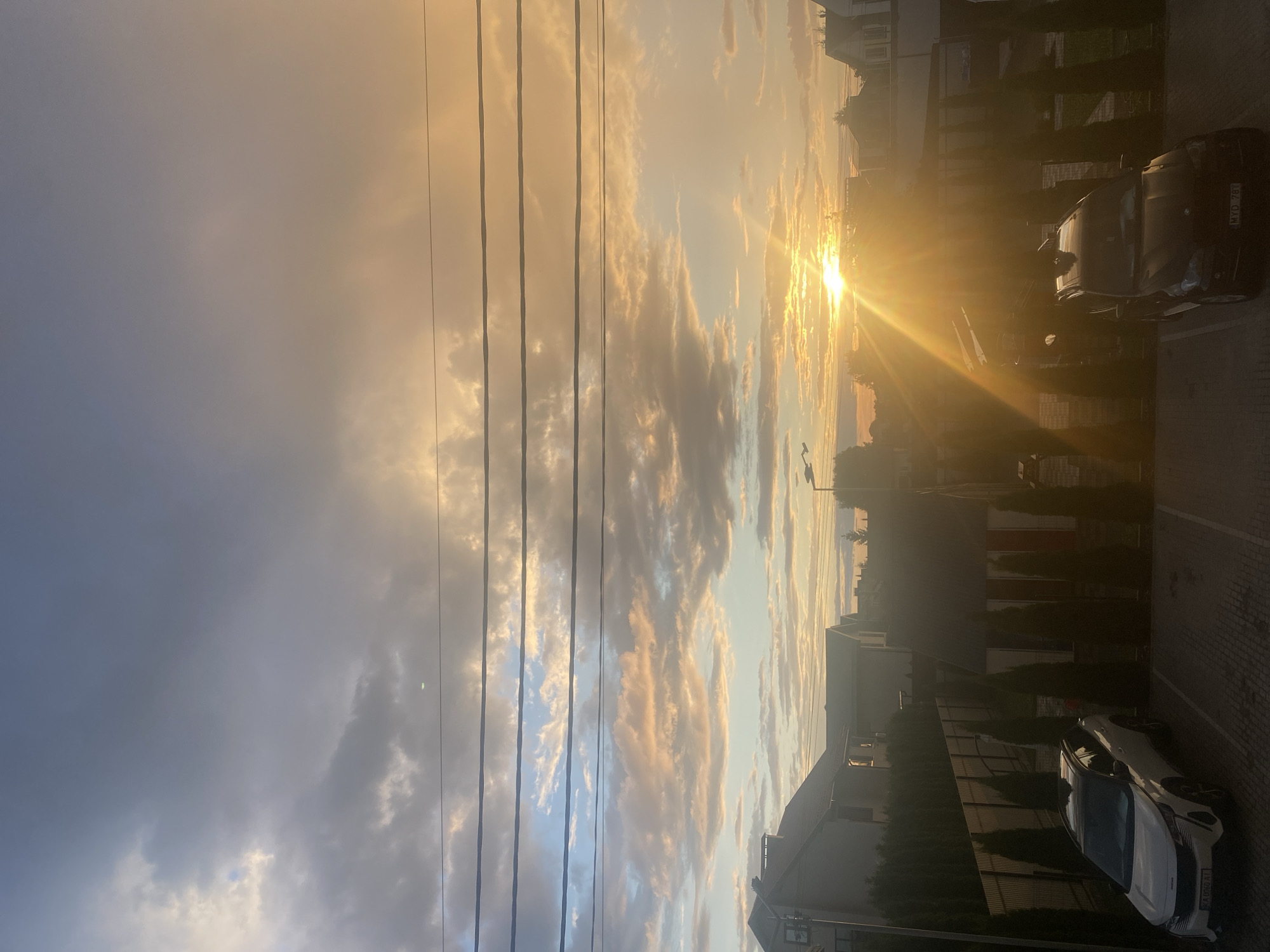 This image depicts a street scene in Novi Petrivtsi, Ukraine, during sunset. The sky is filled with a mix of clouds, with hues of orange, yellow, and blue visible. Multiple power lines stretch horizontally across the upper portion of the frame. In the foreground, there are two parked cars: a white SUV on the left and a dark SUV on the right. Tall, dark green, conical trees are planted in a row between the parking spaces and a fence. Several houses with visible roofs and windows are situated behind the trees and fence. The sun is low on the horizon, casting long rays of light across the scene.