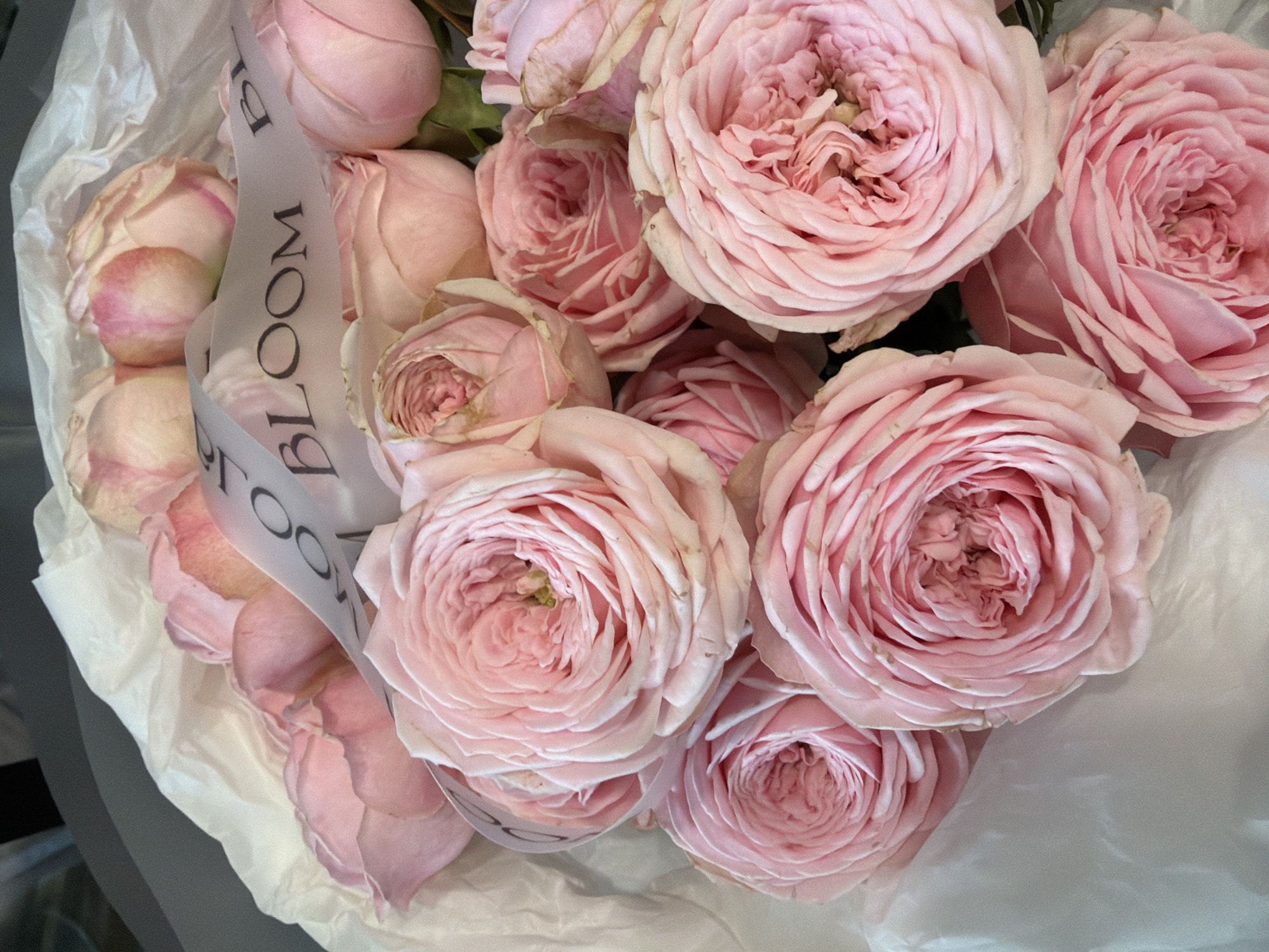 A bouquet of pink roses is displayed in white paper packaging. A ribbon with the word "BLOOM" is wrapped around the flowers. The background is a dark grey surface. The scene appears to be indoors.