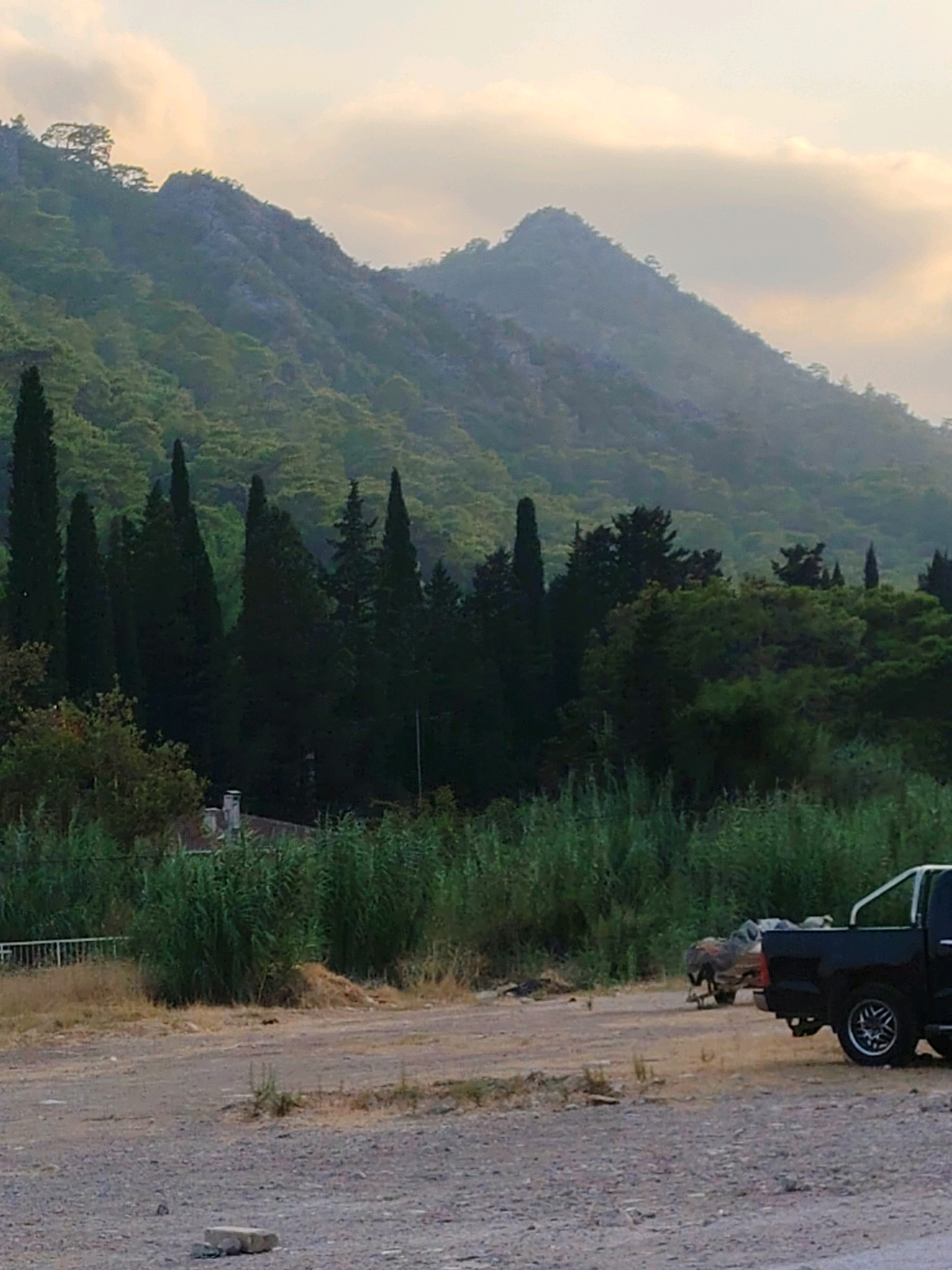 In Konyaaltı, Turkey, the image captures a dusty, gravel-strewn foreground with a dark-colored pickup truck parked on the right side. The truck has a white metal bar across its bed. To the left of the truck, a pile of debris and what appears to be an animal, possibly a dog, is visible. Beyond this, tall, dense green reeds and vegetation form a barrier. In the middle ground, a few scattered structures, possibly parts of houses, are nestled among the reeds and trees. A white fence runs along the edge of the vegetation. The background is dominated by a large, tree-covered mountain range under a hazy, overcast sky with hints of sunlight breaking through the clouds. The mountains are steep and rugged, with the vegetation creating a dark green, undulating texture. The overall scene suggests a rural or semi-rural edge of a town, with natural landscape meeting signs of human presence.