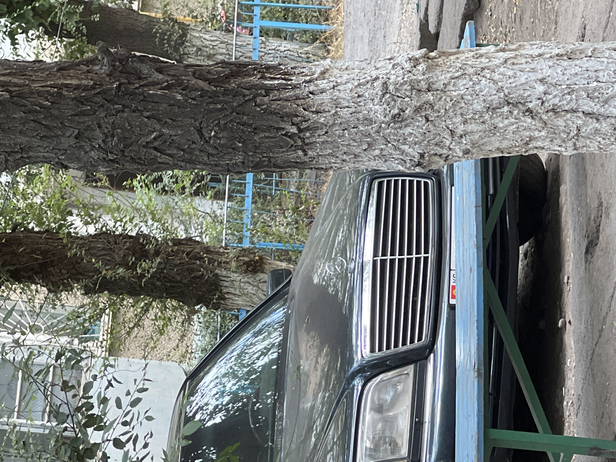 The image shows a dark colored Mercedes-Benz sedan parked in front of a building in Tokmok City, Kyrgyzstan. A blue picnic table is in the foreground, partially obscuring the car. Several trees are visible, one of which has white paint on its lower trunk. A blue metal fence is in the background, and the building appears to have large windows. The ground is paved. There are no people in the image.