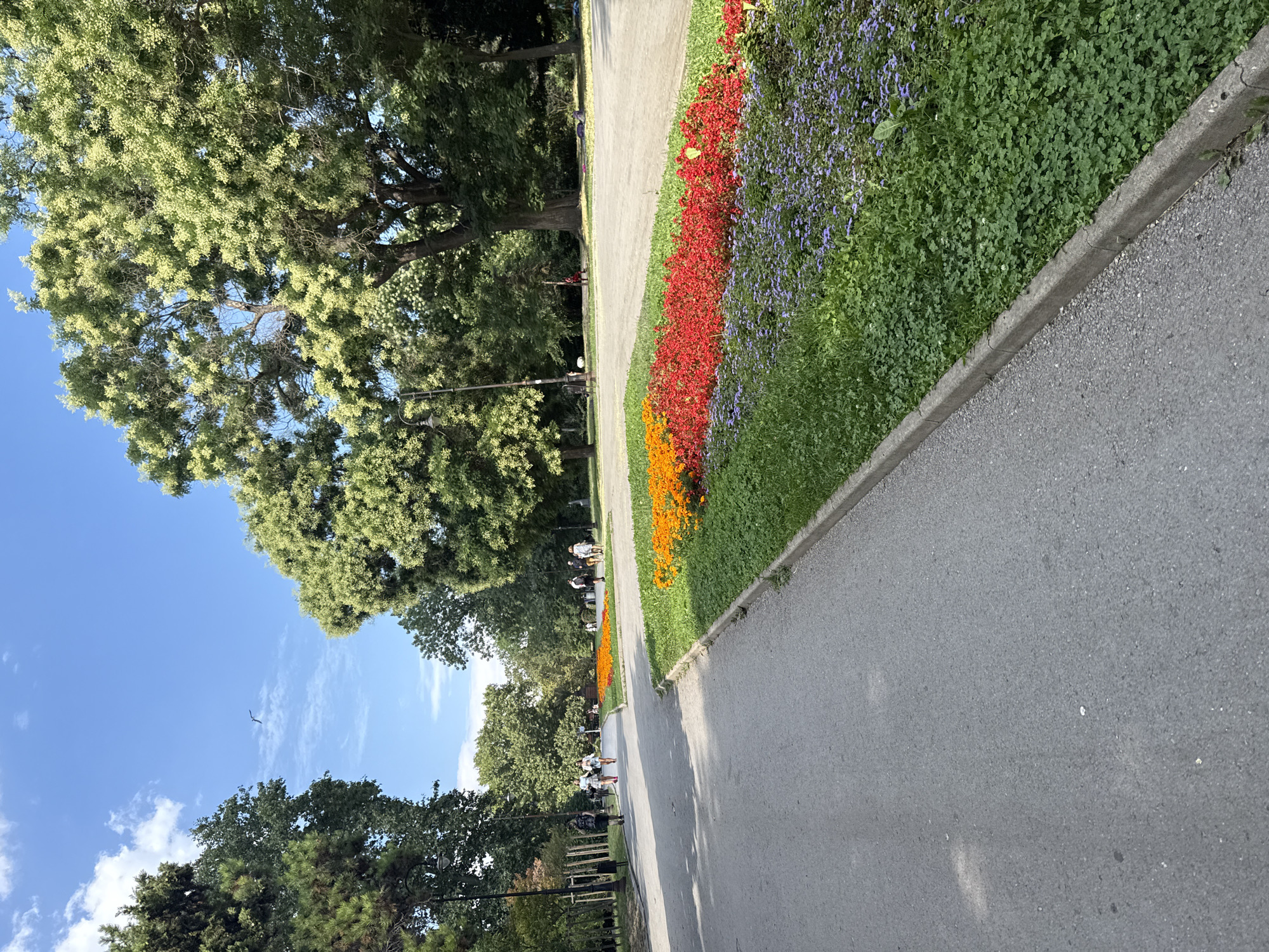 An eye-level outdoor shot captures a wide paved path curving through a park on a bright day. On the right side of the path, a vibrant flowerbed bursts with color. The front row features a dense planting of small purple flowers, transitioning to a band of bright red flowers, and then a row of orange flowers. Beyond the flowerbed, lush green grass slopes upwards towards mature trees that form a dense canopy overhead, with sunlight dappling through the leaves. On the left side of the path, several people are seen walking in the distance. The sky above is a clear blue with scattered white clouds. A single bird is visible flying in the sky. The path itself is a mottled gray asphalt, with a concrete curb bordering the flowerbed and grass. The overall scene suggests a peaceful park setting on a pleasant day.