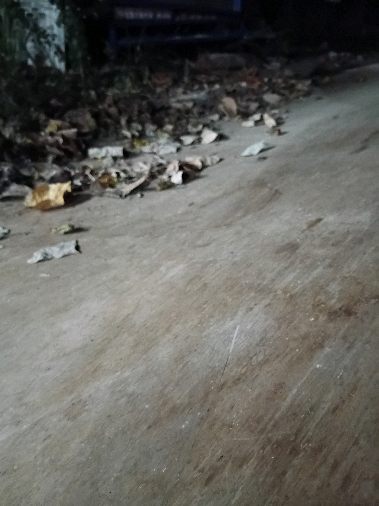 The image depicts a ground-level view of a pathway littered with fallen leaves and debris. The pathway appears to be made of concrete or a similar material, with variations in color and texture suggesting wear and tear. To the left of the pathway, a dense area of vegetation is visible, partially obscured by shadows. The overall lighting suggests it is nighttime or a dimly lit area. There are no people or animals clearly visible in the image, and no specific landmarks or distinguishing features that would indicate a precise location within Cikal, Indonesia. The scene appears to be an outdoor urban or semi-urban environment, possibly a park, sidewalk, or unpaved area.