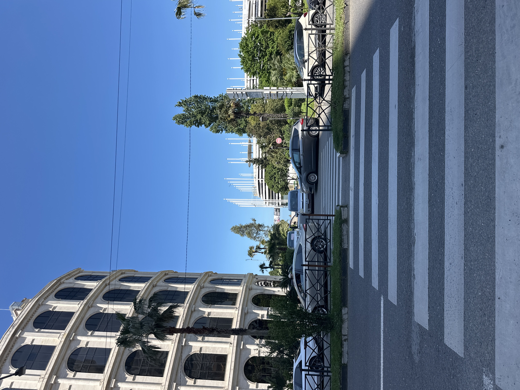 The image shows a street in Batumi, Georgia, with a zebra crossing in the foreground. Cars are parked along the side of the road, separated from the sidewalk by a low metal fence. On one side of the street stands a building with arched windows and a palm tree in front. In the distance, on the other side of the street, is a modern building with flagpoles. The sky is clear and blue. Power lines are visible against the sky.