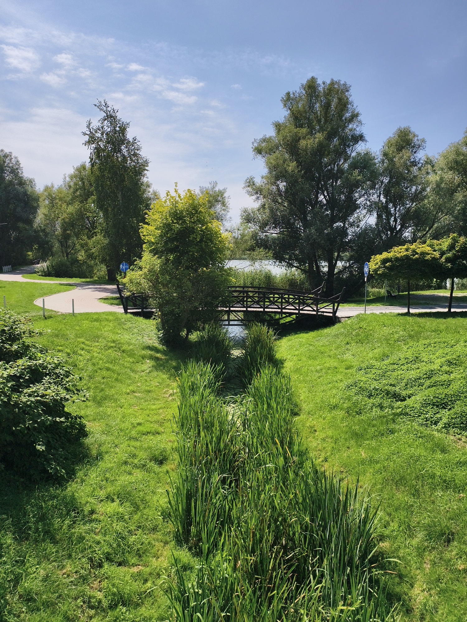 The image depicts a scenic park area with a clear blue sky and scattered white clouds. In the foreground, a grassy area slopes downwards, with a narrow channel of water flanked by tall reeds. A paved pathway curves through the park in the middle ground. A wooden footbridge crosses the water channel, leading towards a body of water in the background, likely a lake or river, which is partially obscured by trees. Lush green trees and shrubs are abundant throughout the scene, with some trees displaying bright green foliage, suggesting it is springtime or summer. A blue traffic sign is visible near the pathway. The overall environment suggests a tranquil, natural setting within a park. It is located in the city of Sztum, Poland.