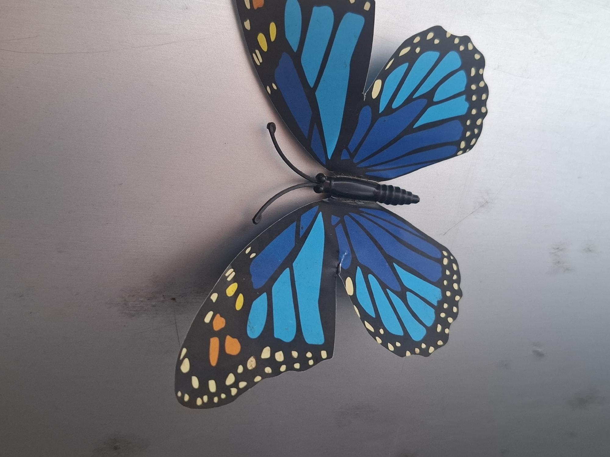 The image shows a close-up, overhead view of a decorative blue and black butterfly on a metallic surface. The butterfly has intricate patterns on its wings, featuring bright blue, orange, and yellow markings against a black background with small white dots along the edges. The metallic surface appears to be a wall or a table, with visible scratches and smudges. The lighting suggests an indoor setting. There are no people or any indications of activity or interaction within the frame. The scene is static and focuses solely on the object. There is no information in the image that can place it specifically in Deah Pangwa, Indonesia.