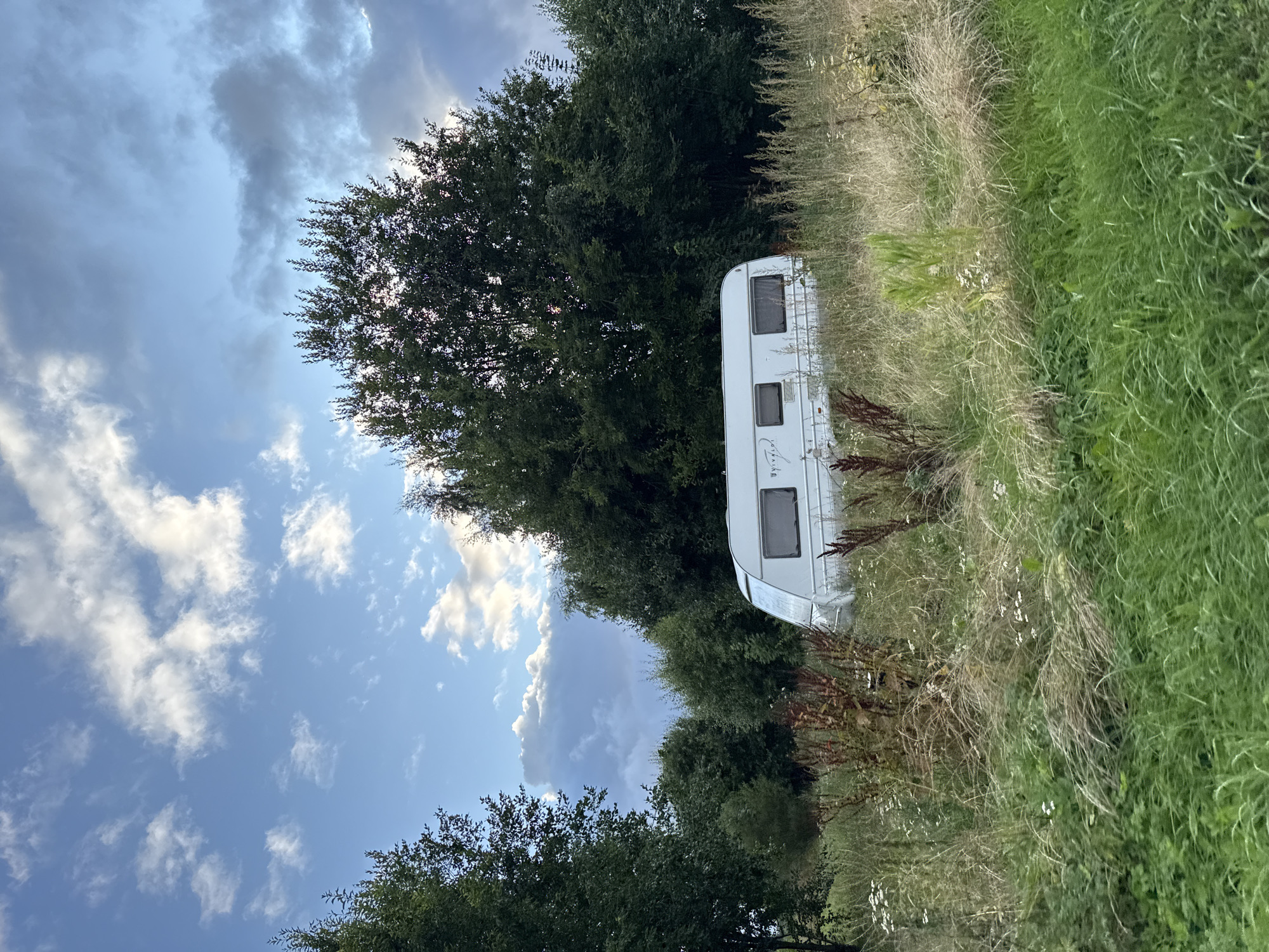 A white caravan is parked in a grassy field with trees in the background under a partly cloudy sky. The caravan is positioned in the middle ground of the image, surrounded by tall, dry grass and some weeds. The trees, which appear to be a mix of deciduous and coniferous, form a dense line behind the caravan, with some branches and leaves visible in the foreground. The sky is a mix of blue and white clouds, with the sun illuminating some of the clouds from behind. The overall scene appears to be a rural or semi-rural setting, possibly in Järveküla, Estonia, given the context. No people are visible in the image. The caravan has several windows, and a logo or text is visible on its side, though it is partially obscured by the grass.