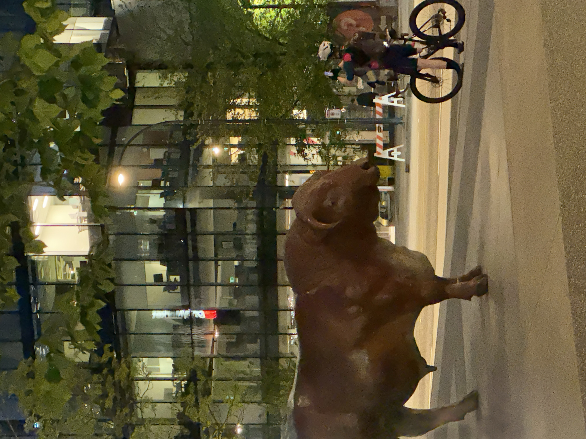 This nighttime image captures a bronze bull statue in an urban setting, likely Vancouver, given the prominent bull statue often associated with financial districts.
In the foreground, a dark bronze statue of a bull stands prominently on a paved surface, depicted in a powerful, charging stance. Its head is slightly turned towards the right.
In the midground, several people are present on a street or plaza. One individual is seen riding a bicycle, wearing a helmet and dark attire. Another person stands nearby, appearing to hold a phone, while other figures are visible further back, some partially obscured by trees. Two orange and white striped barricades are also positioned on the street.
The background features a multi-story modern building with large glass windows that reflect interior lights and elements from the surrounding environment. Green trees with leafy branches are scattered throughout the scene, interspersed between the statue and the building, and along the street, providing urban greenery.
The scene is illuminated by artificial lights emanating from the building and streetlights, indicating that it is nighttime. In the reflections on the building's windows, a red and white flag is visible. Faint text, possibly "tokenM" or "brokerM" and "TMONEY," can also be deciphered from the window reflections, suggesting financial or corporate businesses within the building. The overall atmosphere is an active, well-lit urban night.