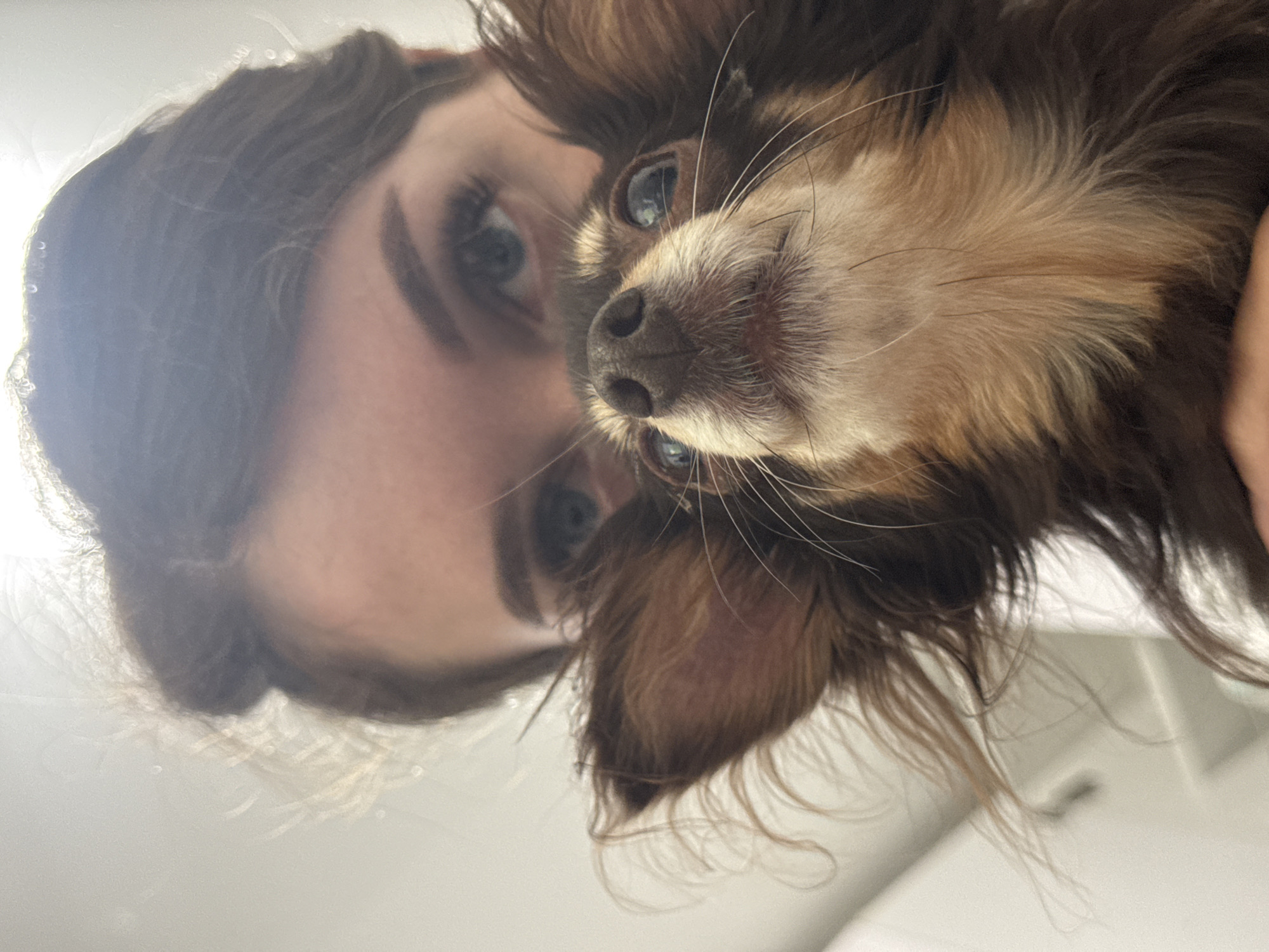 The image shows a close-up, low-angle shot of a woman and her small, long-haired brown dog. The woman's face is partially obscured by the dog, with only her eyes and forehead visible. Her dark hair is pulled back, and she appears to be looking down at the dog. The dog, held close to the camera, has large, expressive eyes and its snout is pointed upwards. The background is a plain, brightly lit wall, suggesting an indoor setting. There is no discernible information in the image that would indicate the location within the city of Chaikovsky, Russia.