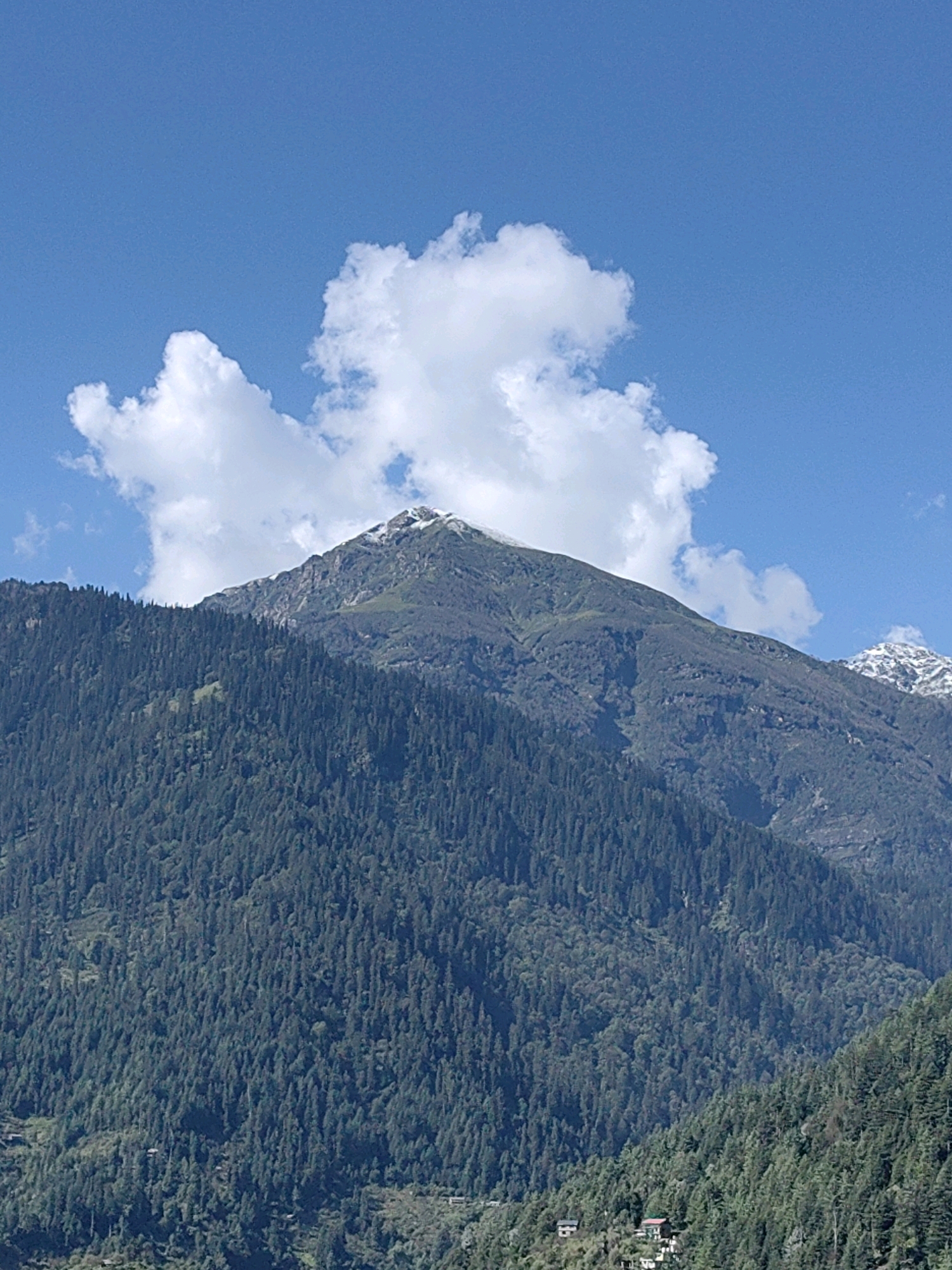 The image captures a majestic mountain peak in Vashisht, India, under a bright blue sky with fluffy white clouds. The mountain is densely covered with dark green pine trees, creating a textured landscape that extends up its slopes. The summit of the mountain is bare and rocky, with patches of snow visible, indicating a high altitude. A few small buildings, possibly houses or guesthouses, are nestled on the lower slopes of the mountain, suggesting human habitation in this scenic location. The overall scene conveys a sense of natural grandeur and tranquility.