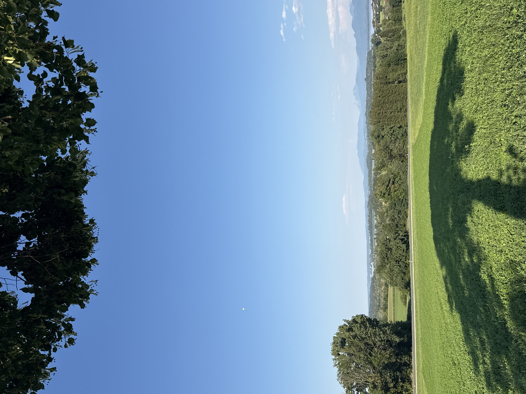 The image depicts a rural landscape under a clear blue sky, with the suggestion of a sun-drenched day. In the foreground, a lush green field dominates, with a distinct shadow of a large tree cast across it, indicating the sun is positioned behind the viewer. The shadow's form suggests a broad canopy. To the left, a large, mature tree stands prominently, its dense foliage a deep green. Beyond the field, a road runs horizontally, bordered by more green fields and a line of diverse trees forming a natural border. In the middle ground, a body of water is visible, possibly a lake, with distant mountains forming a hazy backdrop. The sky is an uninterrupted expanse of blue, with a single, small, light-colored object, potentially a balloon or a distant aircraft, visible in the upper left quadrant. The overall impression is one of tranquility and natural beauty.
