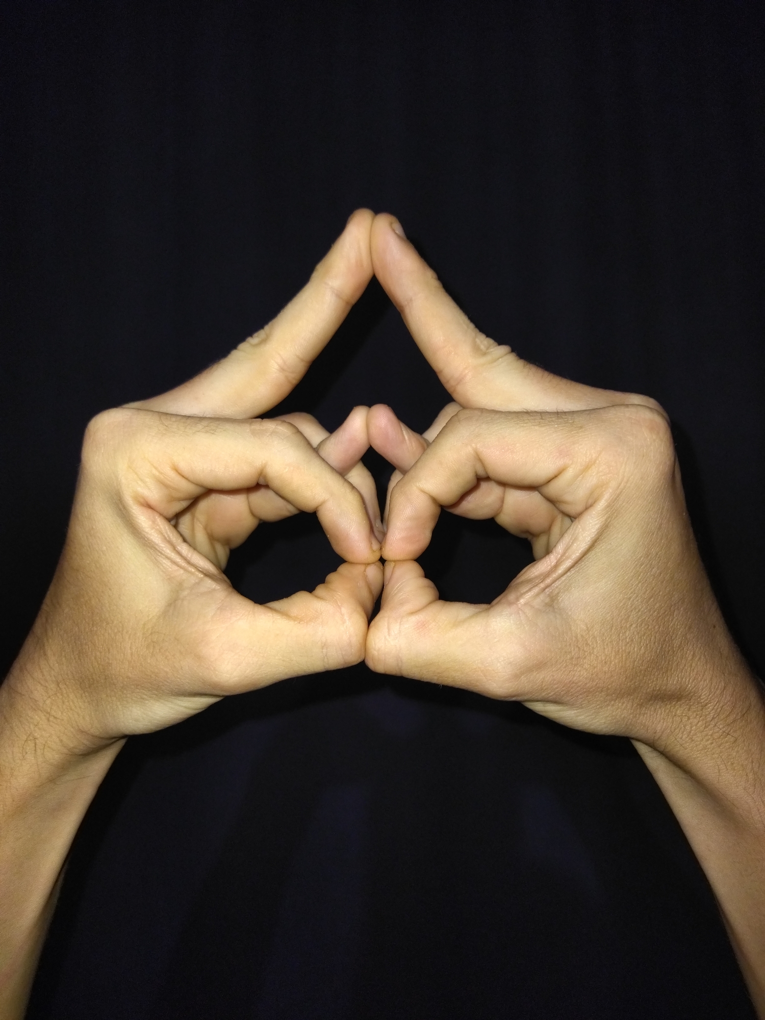 The image shows two light-skinned hands against a black background. The hands are positioned symmetrically, with the index fingers touching to form a peak and the thumbs and other fingers creating a diamond shape. The location of Tinaquillo, Venezuela is not discernable from the image.