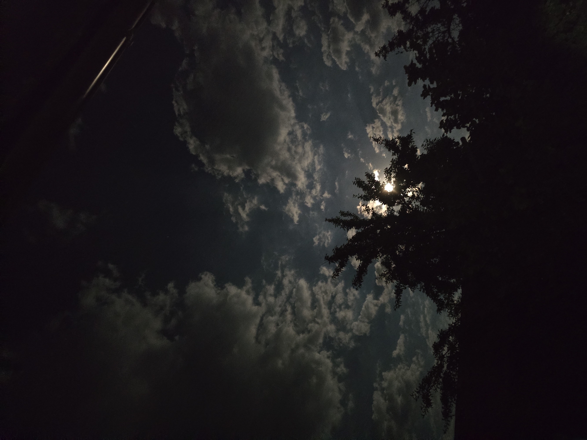The image depicts a nighttime sky with a partially obscured moon, suggesting a cloudy or overcast condition. The moon's light filters through breaks in the clouds, creating a dappled illumination. Silhouetted trees and foliage occupy the lower portion of the frame, their dark forms contrasting with the lighter sky. A slender, bright object, possibly a utility pole or a thin beam of light, extends diagonally from the upper right corner towards the center of the image. The overall scene conveys a natural, outdoor environment under moonlight. No specific location in Moscovei, Moldova, can be identified from the image.