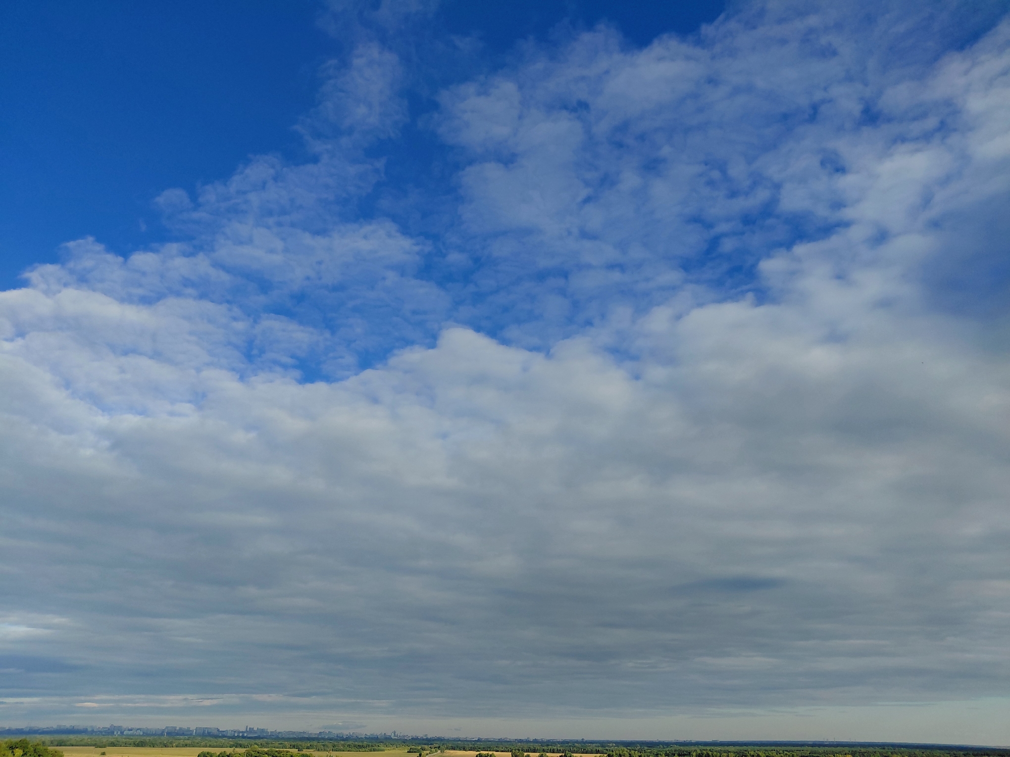 The image depicts a broad landscape under a cloudy sky. The upper portion of the image is dominated by a vibrant blue sky, scattered with white, puffy clouds that transition into larger, denser grey clouds towards the horizon. Below the sky, a vast expanse of land is visible. In the foreground, a treeline forms a dark green border across the lower edge of the image, suggesting a dense forest or park. Beyond this, a golden-yellow field stretches out, hinting at agricultural land or open grasslands. In the far distance, a faint, sprawling city skyline is discernible on the horizon, with buildings appearing as small silhouettes against the muted backdrop. This urban sprawl, combined with the visible landscape features, strongly suggests the location is the outskirts of a major city. Considering the provided context, this scene is likely the view from a high vantage point looking towards the city of Samara, Russia, with its urban area visible on the horizon beyond the surrounding natural and agricultural landscapes.