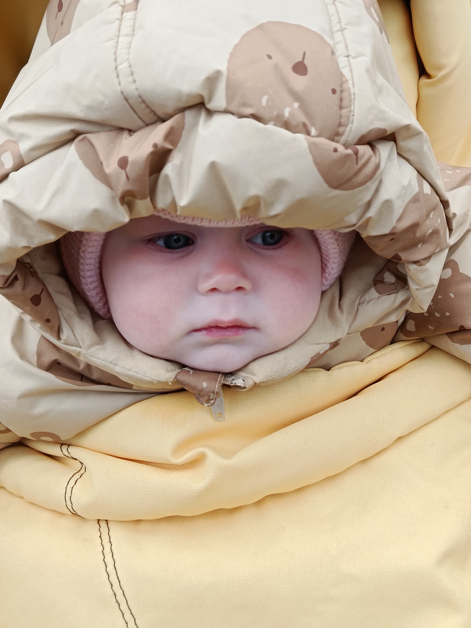 A close-up vertical shot features a baby or young child bundled warmly in outdoor clothing. The child's face is framed by the hood of a thick, padded jacket. The jacket is beige with a scattered pattern of irregular brown shapes, which resemble abstract bears or smudges. Underneath the hood, a pink knitted hat covers the child's head, with only a small portion visible around their face.
The baby has fair skin, blue eyes, and a neutral, somewhat serious expression, looking directly or slightly downwards. Their cheeks appear slightly flushed. A small silver-colored zipper pull, possibly with faint text like "YKK," is visible at the bottom of the jacket opening, just below the child's chin.
The child is enveloped in layers of clothing. Below the jacket, a solid yellow or cream-colored, textured fabric, possibly a blanket, swaddle, or part of a stroller/carrier, is visible. The overall impression is that the child is well-protected against cold weather. The background is indistinct, focusing entirely on the child and their immediate bundled environment.