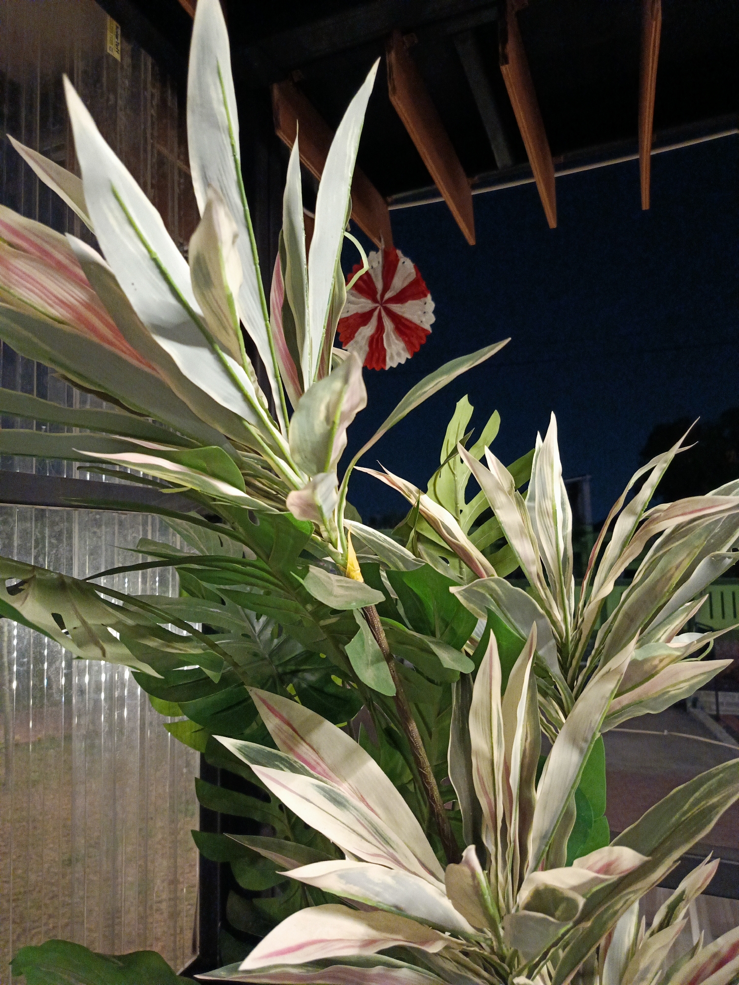 A low-angle, medium shot captures a decorative arrangement of artificial plants against a dark, outdoor night sky. The foreground is dominated by large, variegated leaves in shades of white, green, and pink, with sharp, pointed tips. Behind these, larger, dark green leaves with characteristic fenestrations, resembling a Monstera plant, are visible. To the upper left, a translucent, ribbed material forms a wall or partition, through which a dimly lit, textured surface is discernible. Above the plants, wooden beams extend diagonally from a dark structure. Suspended from these beams is a red and white circular decoration, appearing like a small, open umbrella or fan. The overall scene is likely set on a patio or balcony in Cimahi, Indonesia, given the context of the query.