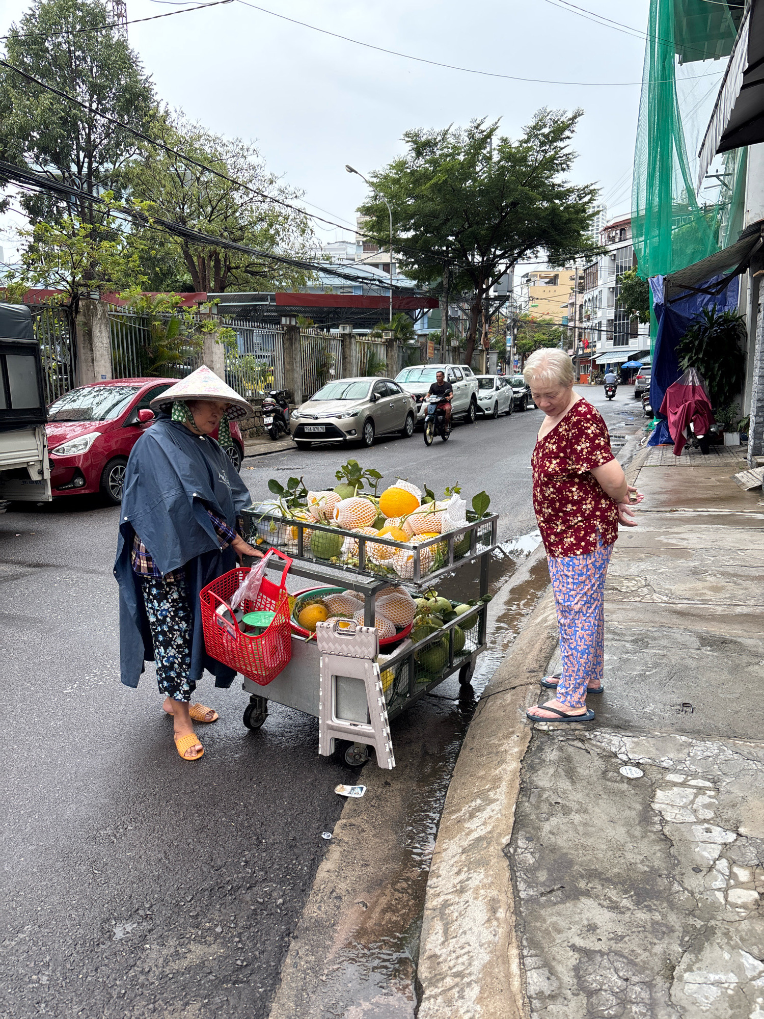 In Nha Trang, Vietnam, on a cloudy day, two women stand on a street with a fruit cart. The woman on the left, wearing a traditional conical hat and a dark blue poncho over a patterned shirt and pants, is standing next to a red basket and a fruit cart filled with various fruits, some wrapped in netting. The woman on the right, with short blonde hair, wears a patterned red shirt and blue patterned pants. She faces the fruit cart, with her hands clasped behind her back, and appears to be interacting with the woman on the left or observing the fruit. The street is wet, indicating recent rain, and there are parked cars and buildings visible in the background. The fruit cart is a metal structure with multiple shelves displaying a variety of fruits.