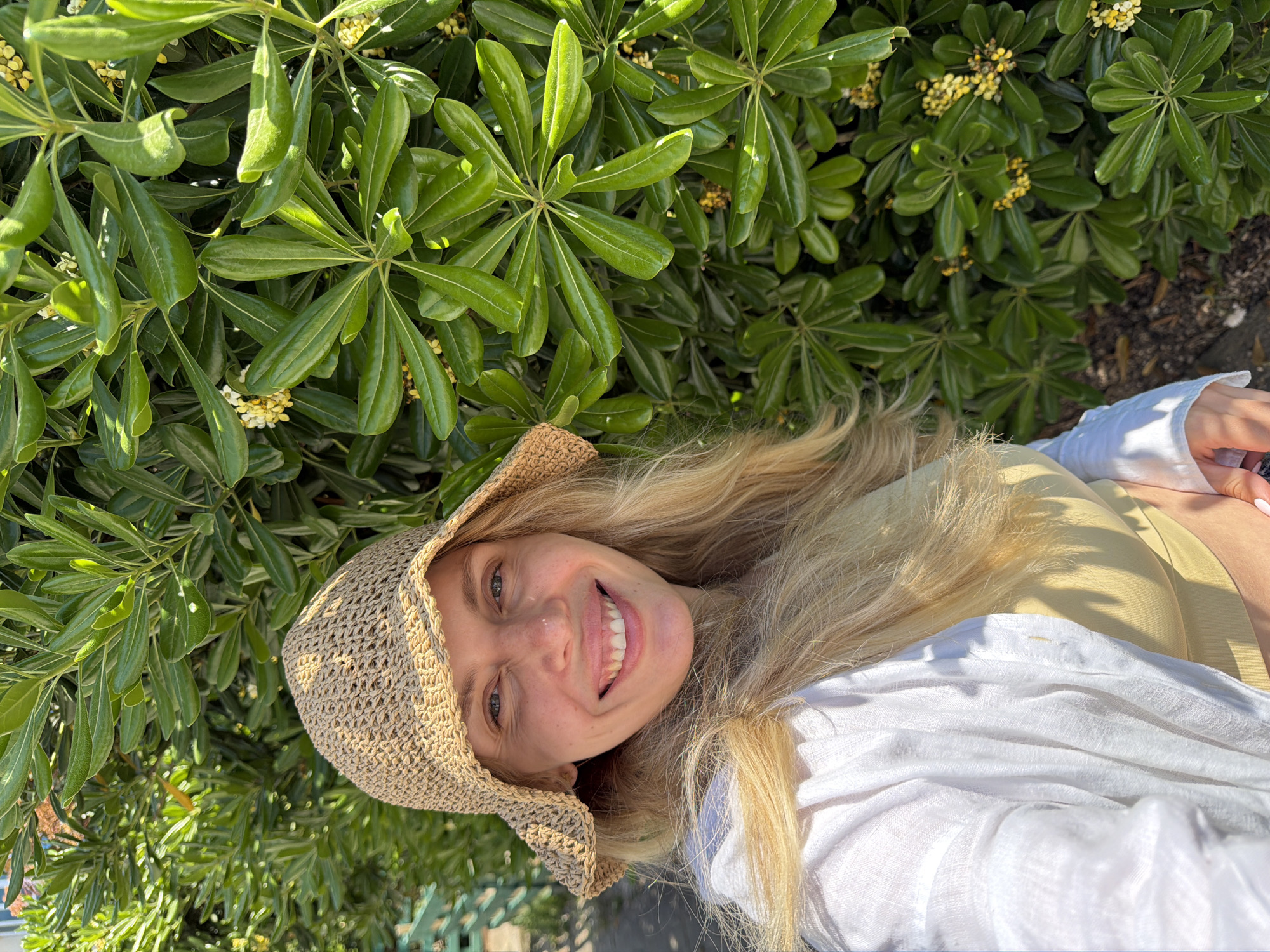 The image, rotated 90 degrees counter-clockwise, depicts a young woman smiling broadly with a cheerful expression. She has long, wavy blonde hair and light-colored eyes, with subtle freckles visible on her nose and cheeks. She is wearing a light-colored, woven sun hat, a light yellow top, and a white, loose-fitting long-sleeved shirt or cover-up.
The background is dominated by lush, dark green foliage with glossy leaves, characteristic of a bush or hedge. Small clusters of light yellow flowers are interspersed throughout the greenery, suggesting a plant like Pittosporum tobira, common in Mediterranean regions. The bright sunlight creates clear highlights on the leaves and the woman's hat, indicating a sunny daytime setting. A dark, earthy area is partially visible at the bottom right, likely the ground beneath the foliage. The scene evokes an outdoor, warm climate environment, consistent with the specified location of Budva, Montenegro. There is no visible text.