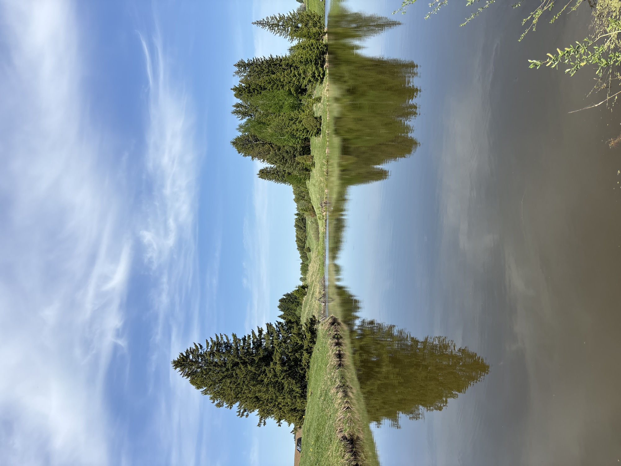 The image depicts a landscape, likely near water, with a mirrored effect. The scene appears to be centered on a narrow body of water reflecting the sky and vegetation. The left side of the image shows a blue sky with wispy white clouds. Below the sky is a grassy bank with trees lining the edge. The trees' reflections are visible in the water, creating a symmetrical composition. No people are visible in the image. The vegetation consists primarily of green grass and various types of trees. No specific structures or identifiable objects indicate a precise location in Karashur, Russia.