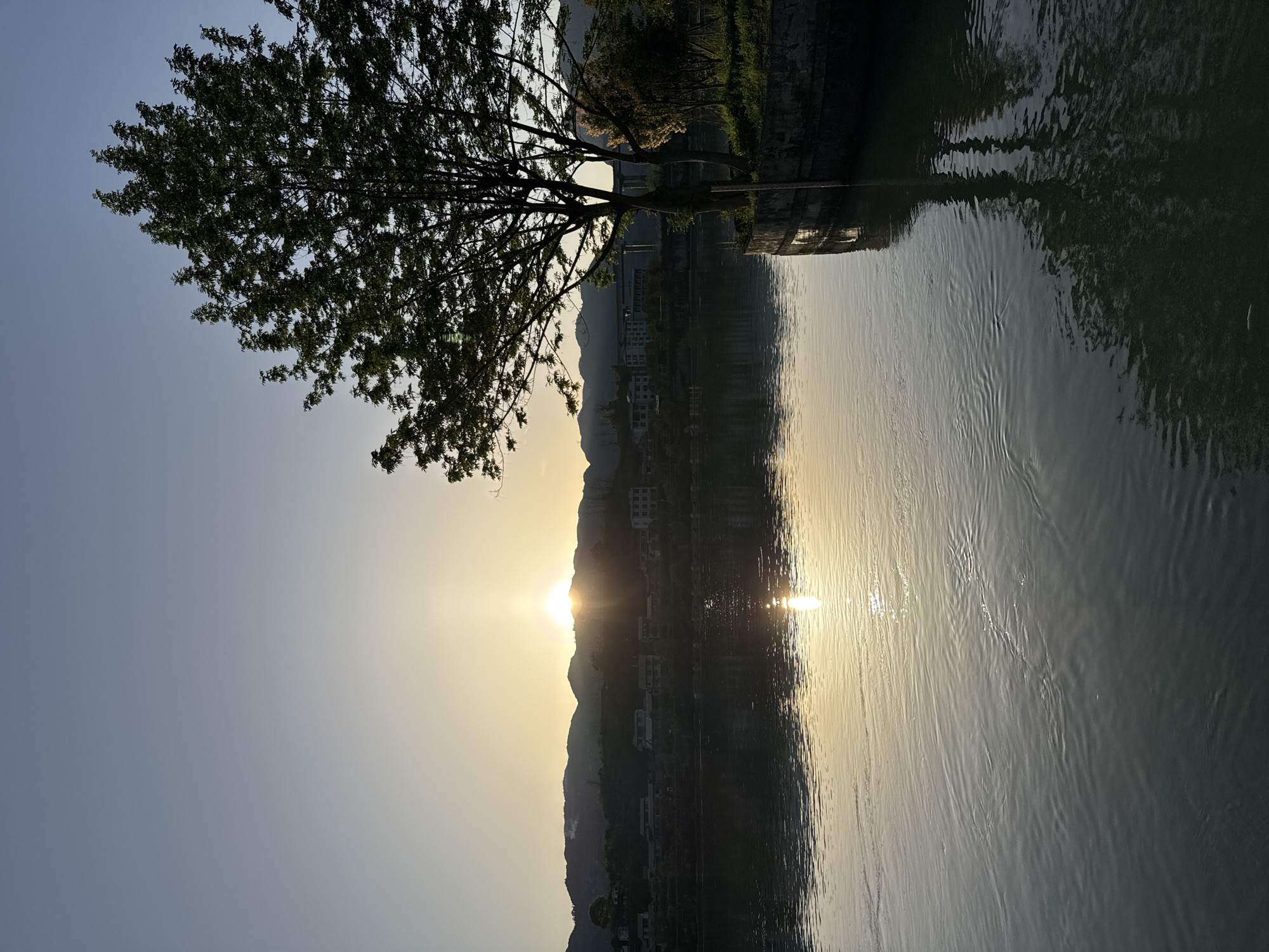 The image depicts a sunset view of Zhuoshui, China, reflected in a body of water. Silhouetted mountains and buildings are visible in the background, with the sun setting behind them. A tree with full foliage is present on the left side of the frame. The water surface exhibits reflections of the sky, mountains, and the setting sun, with noticeable ripples disrupting the reflections. The sky transitions from a light blue near the horizon to a darker shade above. The image is oriented vertically.