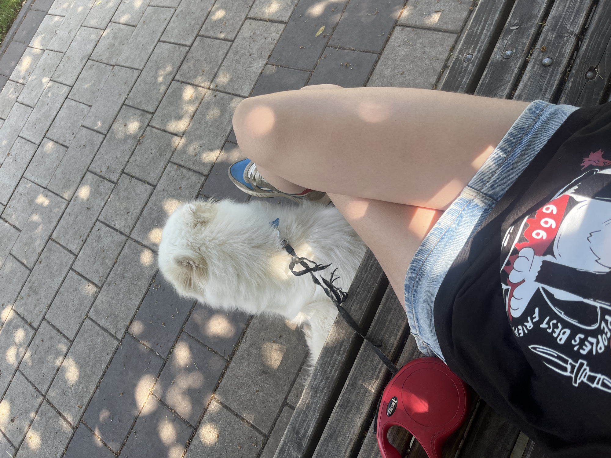 This is a high-angle shot of a person sitting on a wooden bench outdoors. The person's legs and torso are visible, wearing denim shorts and a black t-shirt with a graphic print. A white, fluffy dog lies on the ground next to the person, wearing a black harness and leash. A red retractable leash handle rests on the bench. The ground is paved with rectangular gray and dark gray stones, with dappled sunlight filtering through unseen trees, suggesting a time of day with partial shade. The scene appears to be a park or outdoor seating area. Visible text on the t-shirt includes "PEOPLE'S BEST FRIEN" and the number "666". The overall mood seems relaxed and casual.