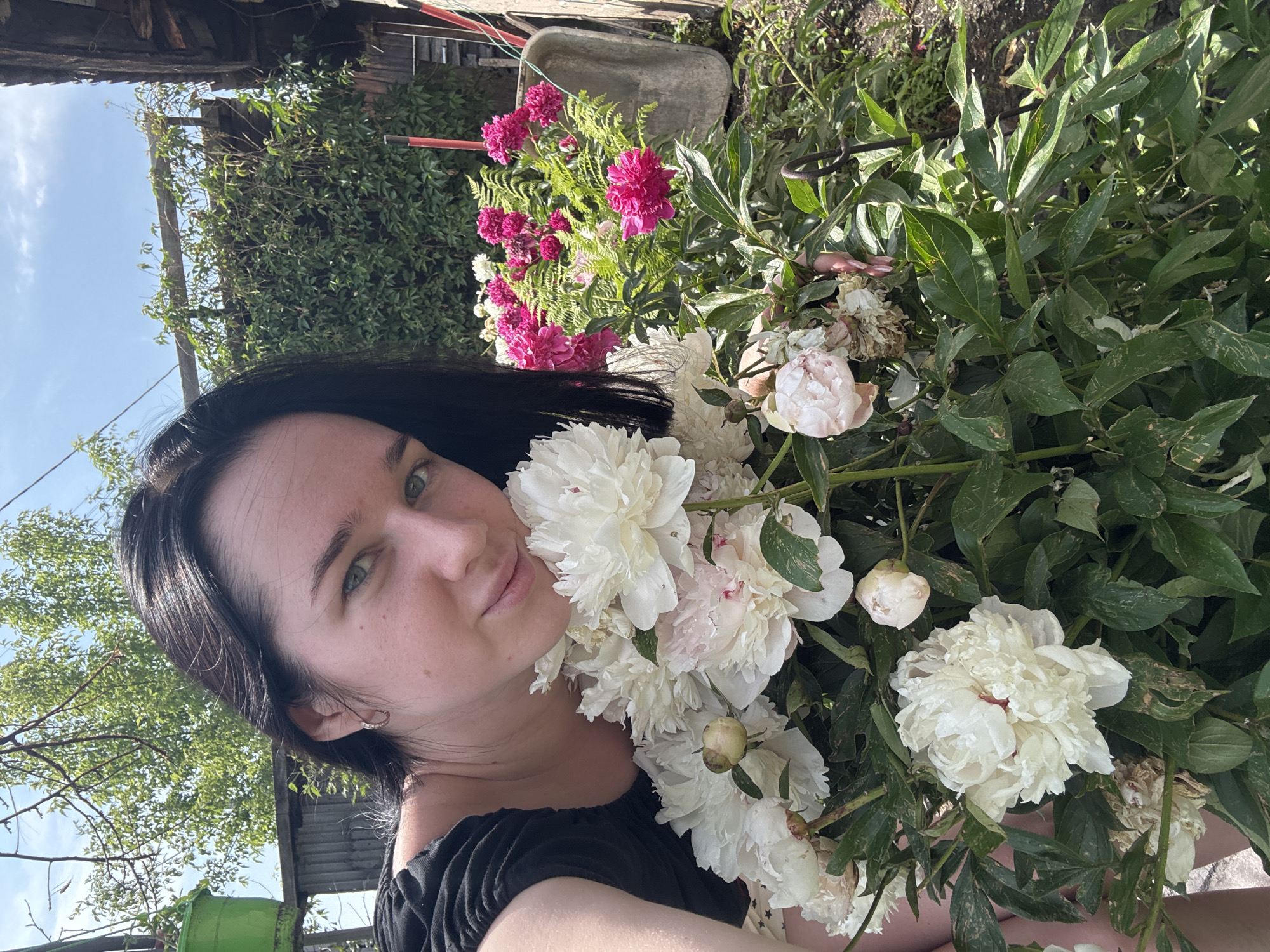 A young woman with dark hair and green eyes smiles at the camera, leaning towards a cluster of white peonies. She is wearing a black top. In the background, a bed of bright pink peonies and ferns is visible, along with a weathered concrete wheelbarrow. The scene is set outdoors in what appears to be a garden or yard, with lush green foliage and a partially visible wooden structure. The sky above is clear and blue. The image is taken in Prokopyevsk, Russia.
