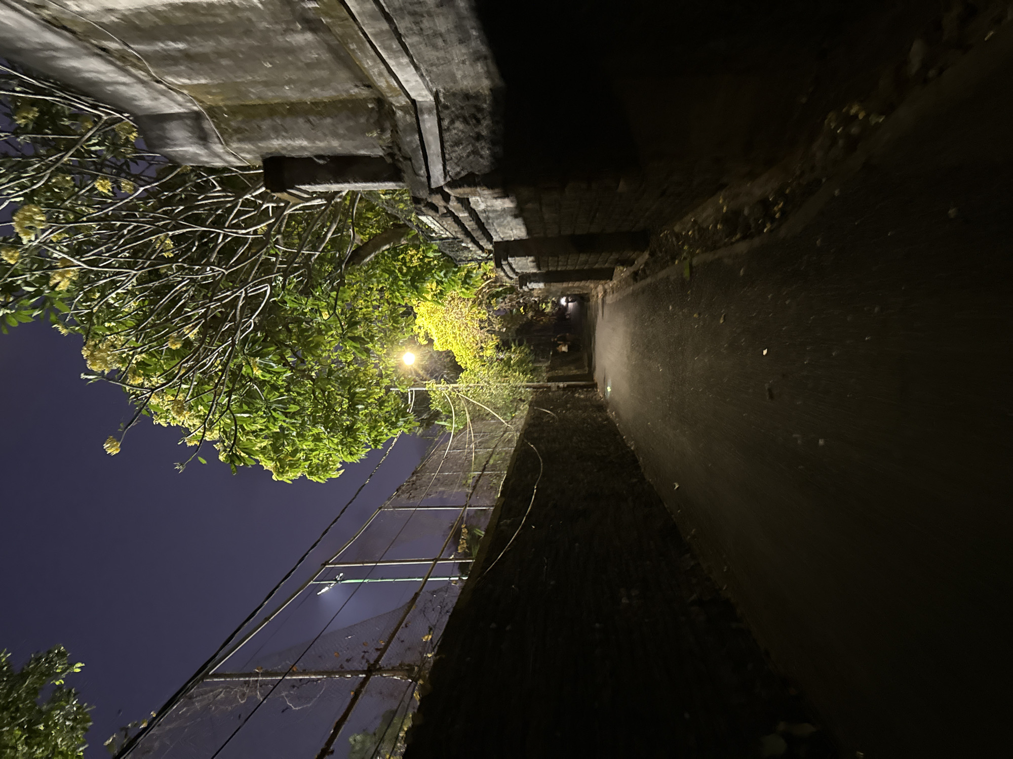 The image depicts a narrow, paved alleyway at night in Denpasar, Indonesia. The alley is bordered on the left by a dark, brick wall topped with a chain-link fence, and on the right by a textured, stone wall with architectural details. A street lamp illuminates the pathway, casting long shadows. Lush green trees with yellow flowers overhang the alley from the right, their branches extending across the frame. The sky above is a dark purple, indicative of nighttime. There are a few faint figures and a motorcycle visible in the distance down the alley, suggesting ongoing activity. The ground of the alley is sparsely scattered with leaves.