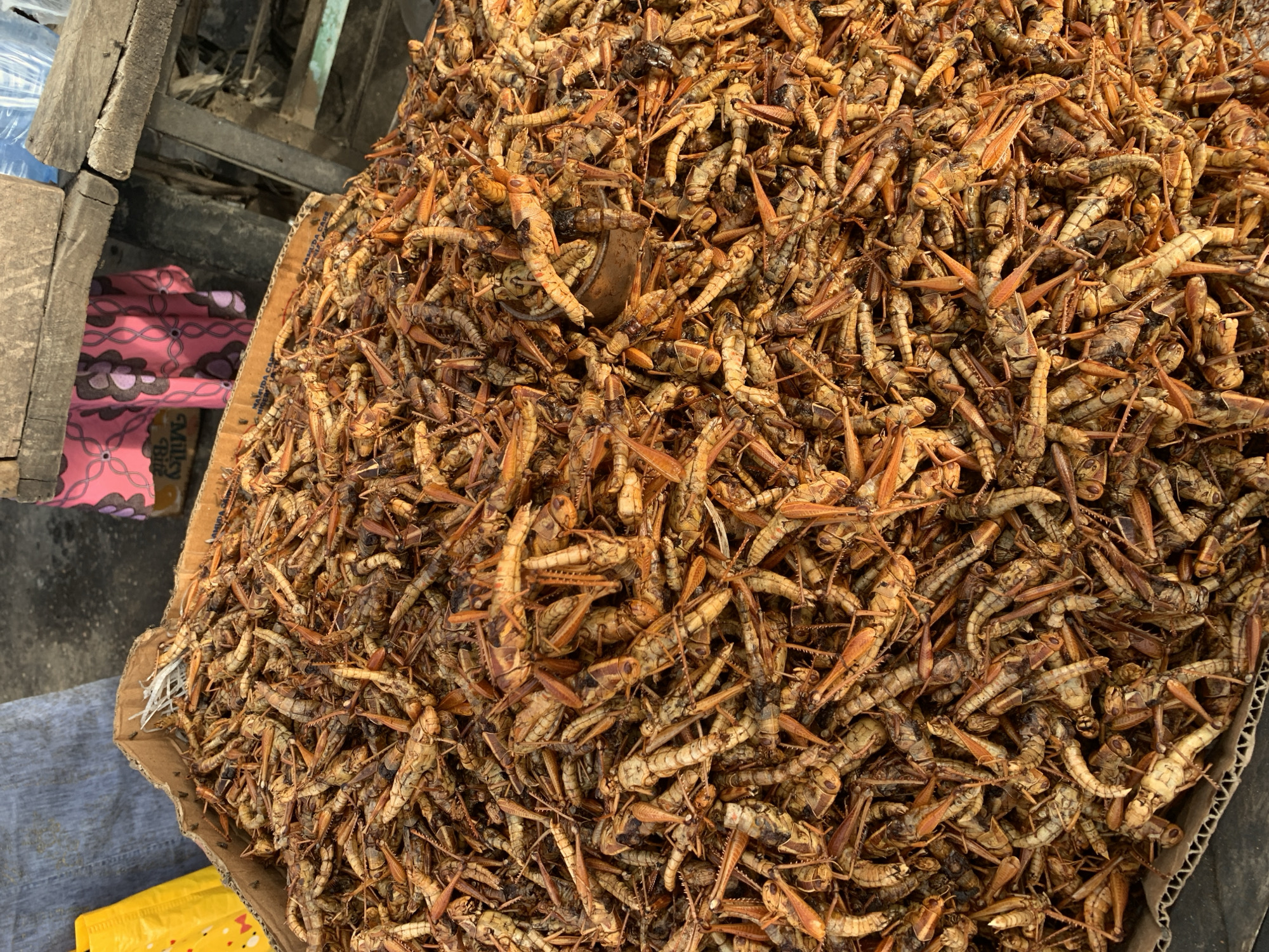 This image depicts a large pile of dried grasshoppers, likely for sale as food, in a market setting in Jalingo, Nigeria. The grasshoppers are a light brown and beige color, with visible legs, antennae, and wings. They are densely packed in a cardboard box, overflowing onto the surface. In the background, out of focus, elements of the market are visible, including a blue tarp, a yellow plastic bag, and wooden structures. A portion of pink fabric with a floral pattern is also visible. The overall impression is one of abundant produce, common in an African marketplace.