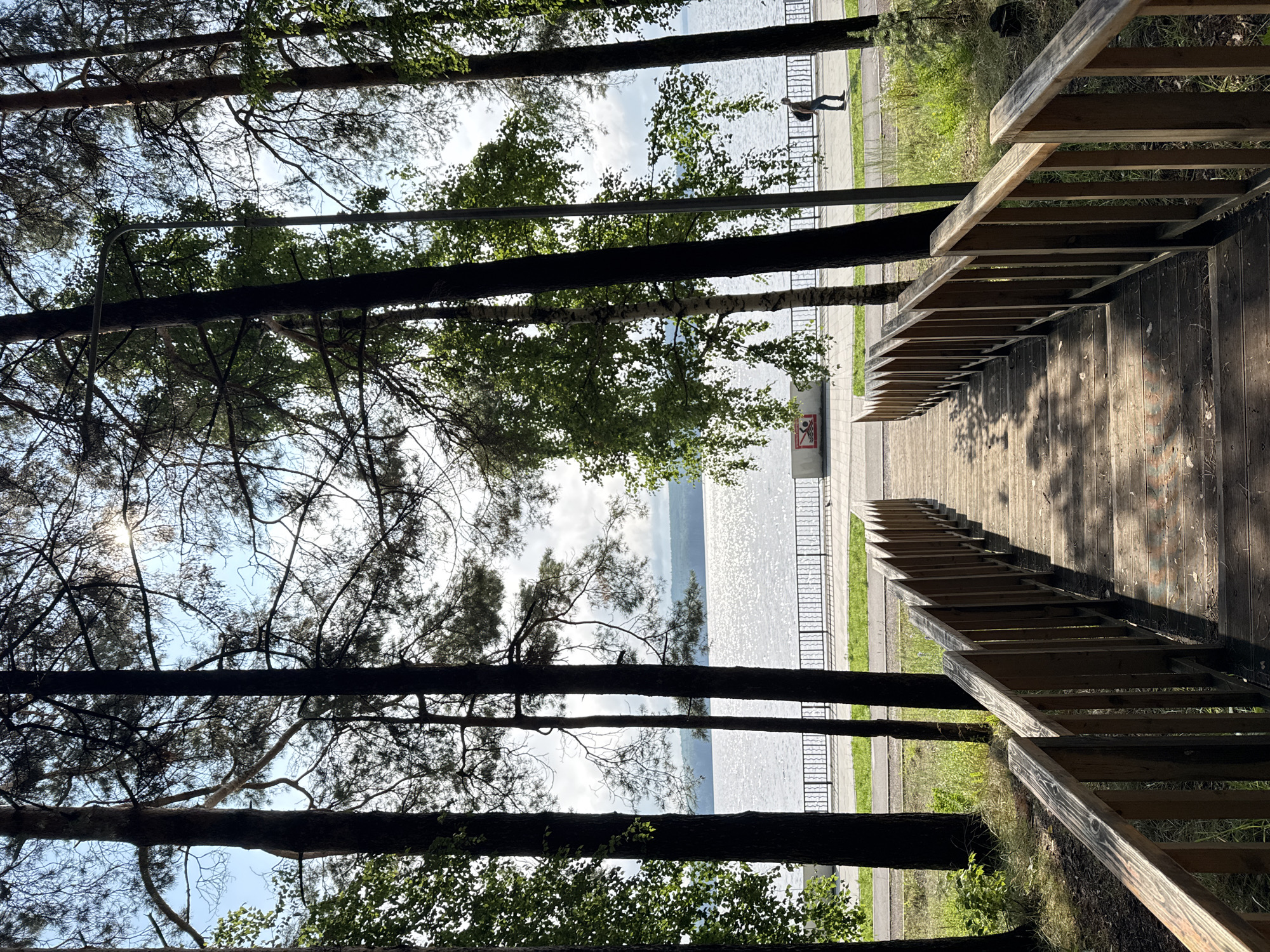 A wooden staircase with railings descends towards a paved walkway bordering a body of water. Tall trees with sparse foliage frame the scene, with sunlight dappling through their branches. In the distance, across the shimmering water, a wooded shoreline is visible. A person walks along the distant walkway, and a sign with a red circle and a diagonal line is affixed to a wall near the water's edge. The environment appears to be a park or recreational area in Chaikovsky, Russia.