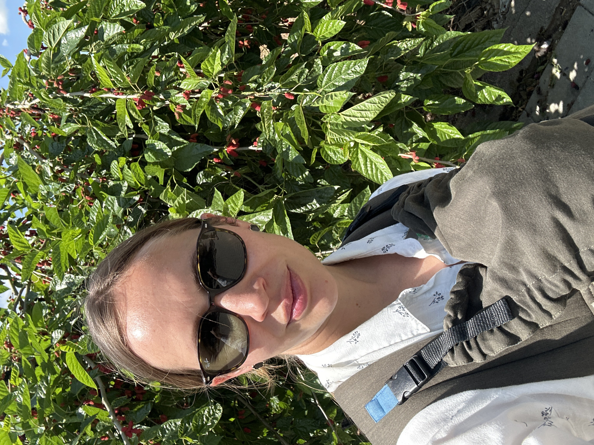 A person wearing sunglasses and a baby carrier stands in front of a tree with green leaves and red berries. The scene is outdoors, with the tree taking up much of the background. Some sunlight filters through the foliage. A section of paving stones is visible at the top right of the image. The image location cannot be determined from this photograph alone.