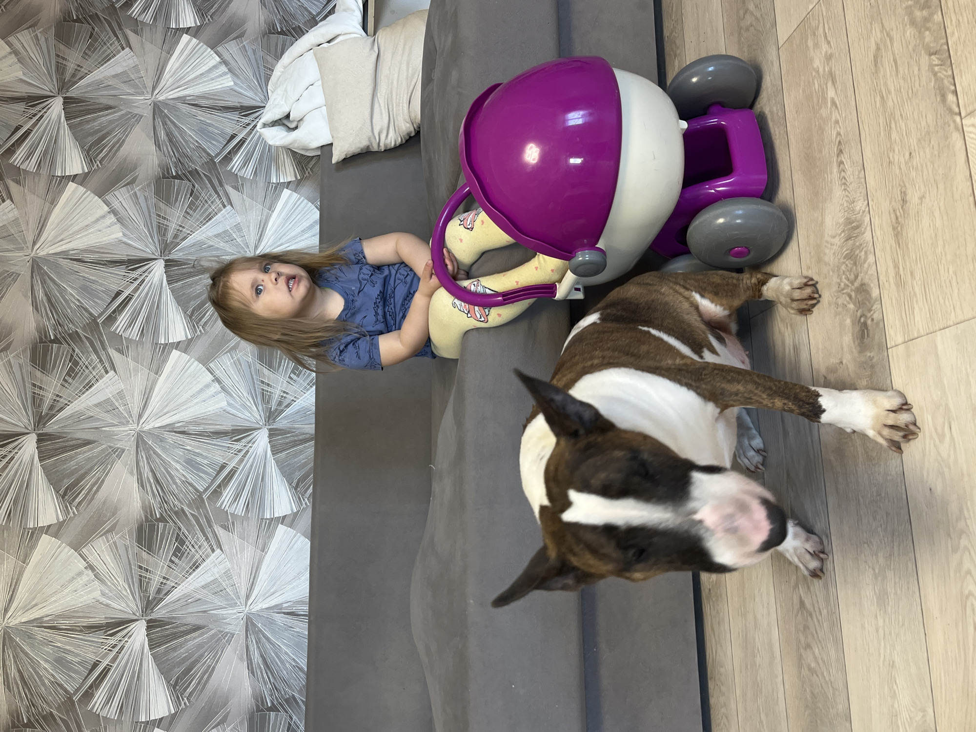 A young child wearing a blue shirt and yellow patterned pants is sitting on a grey sofa next to a purple and white toy. A bull terrier dog lies on the floor next to the sofa. The room has a patterned wallpaper and light-colored wooden floor. The location is Chaikovsky, Russia.