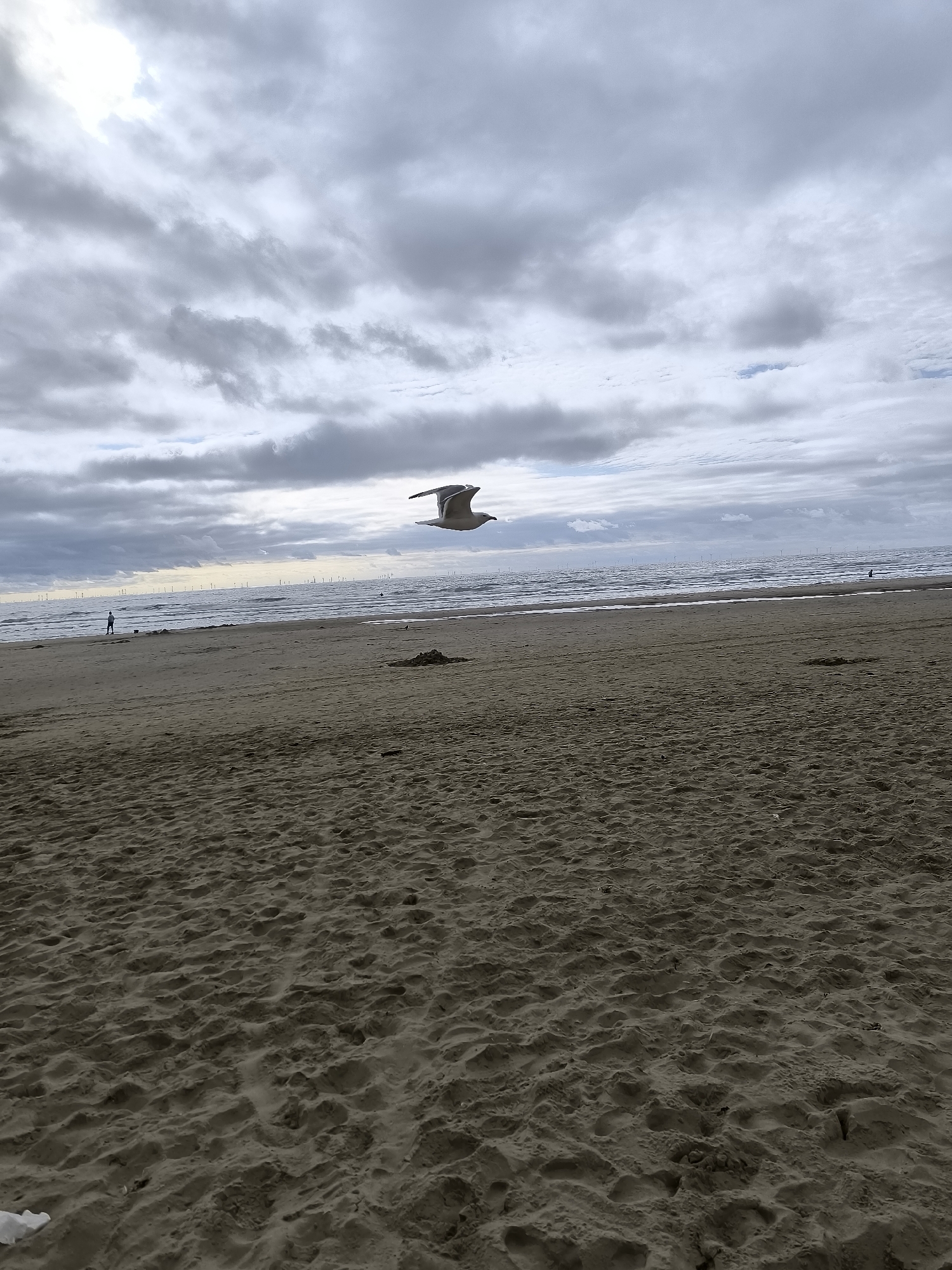 A seagull flies through the air over a sandy beach. The sky is overcast with gray clouds. The sea is choppy with waves. In the distance, there are many wind turbines on the horizon. A single person is walking on the beach in the distance. The beach is empty except for the footprints in the sand and a small pile of sand.