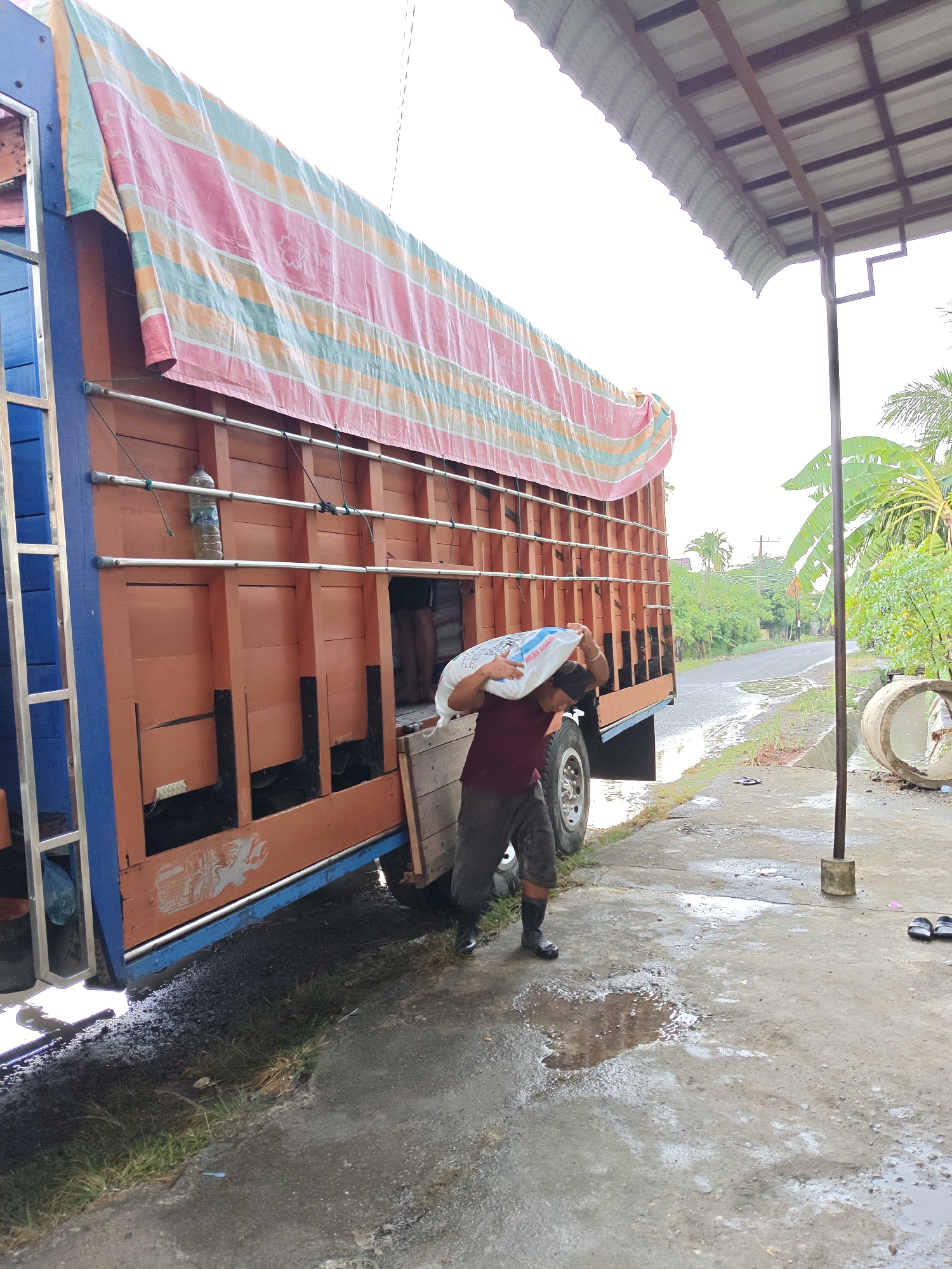 In Ubitpayaitek, Indonesia, a person is shown carrying a large white sack over their shoulder while standing next to a large orange truck. The truck has a colorful tarp stretched over its bed. The ground is wet and there are puddles on the concrete. In the background, there is a road lined with trees and vegetation. A large concrete pipe is also visible on the right side of the image. The overall impression is that of a rural or semi-rural setting, possibly a loading or unloading area.