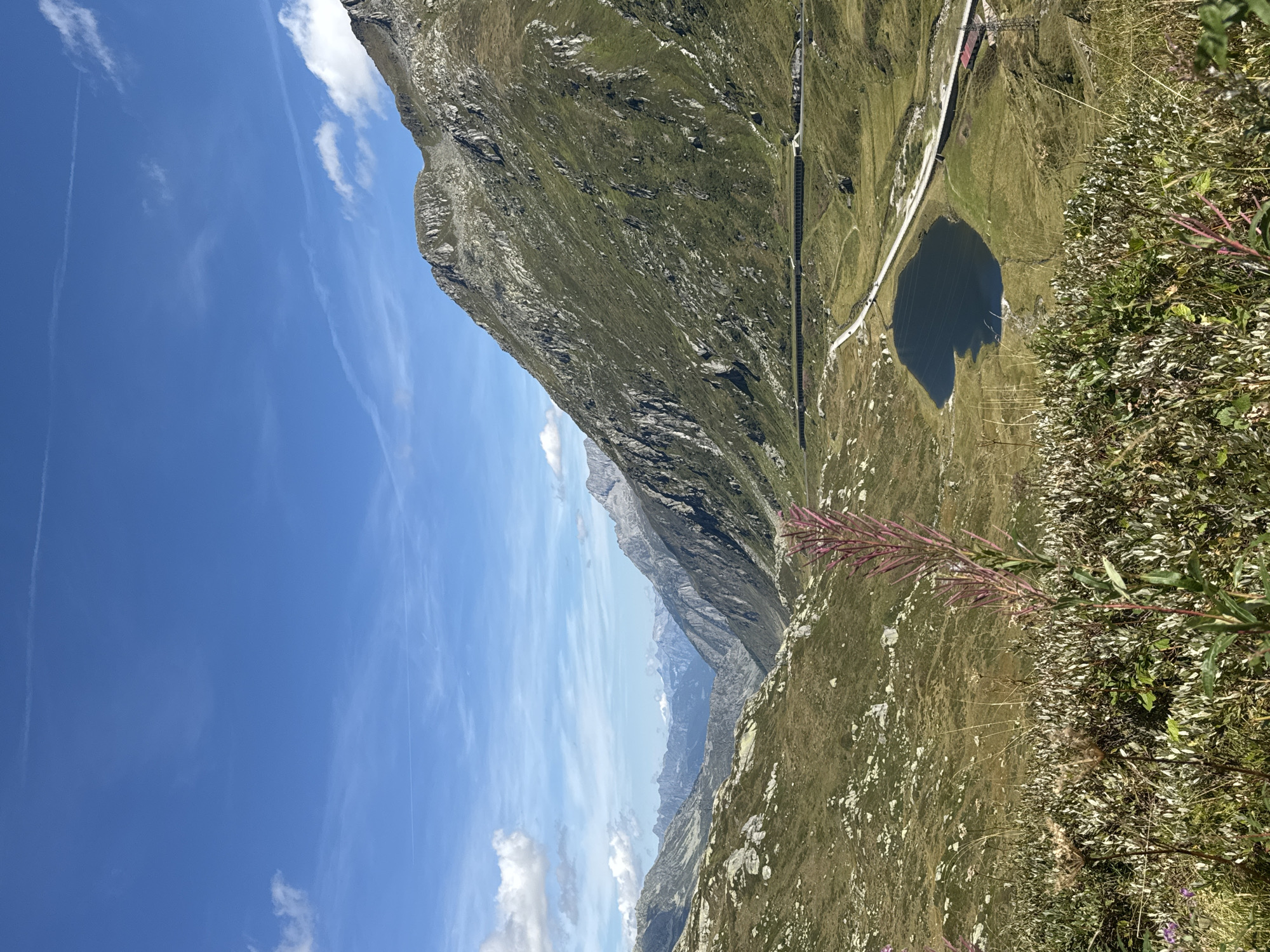 This image depicts a scenic mountain landscape in the vicinity of Airolo, Switzerland. A winding road and a dark, irregularly shaped body of water are visible in the mid-ground, nestled within a valley. Steep, grass-covered mountains with rocky outcrops dominate the right side of the frame, while a more rugged, rocky slope forms the left side. The sky is a clear blue with scattered white clouds and faint contrails. In the foreground, lush green and brown vegetation, including a tall, reddish-purple plant with a spiky bloom, adds depth to the scene. The overall impression is one of a vast, natural environment under a bright, sunny sky.