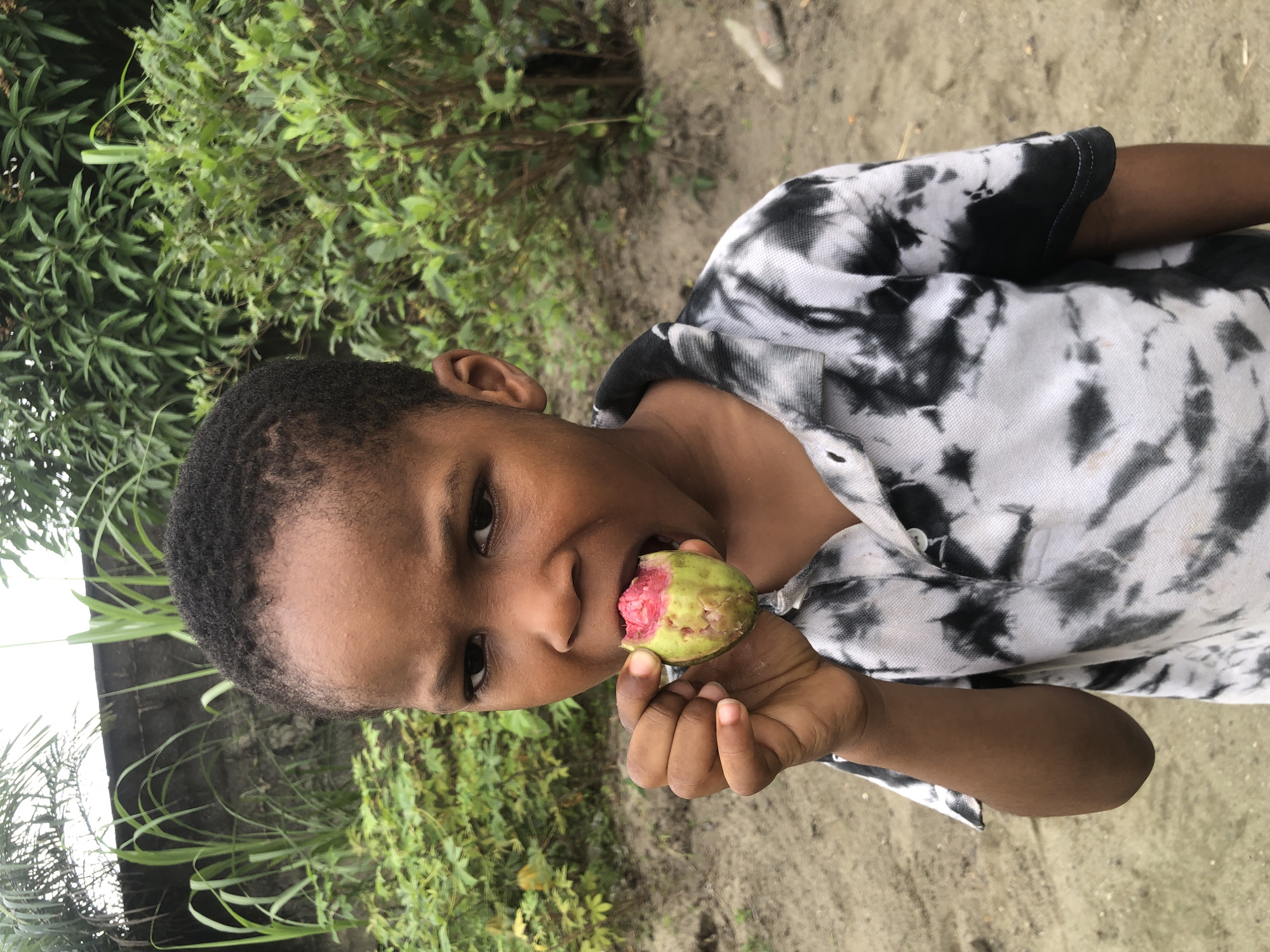 A young boy with dark skin and short, dark, curly hair stands outside, eating a piece of fruit. He is wearing a white t-shirt with a black tie-dye pattern and a black collar. The boy is holding a piece of the fruit in his right hand and biting into it with his mouth open. The fruit appears to be pink and green. He is looking directly at the camera with a serious expression.
The background is an outdoor scene with lush green vegetation and some tall, thin plants that resemble sugarcane. A low, gray wall is visible behind the plants. The ground is covered with dirt and sand.
The boy is estimated to be between 5 and 7 years old. The overall lighting suggests it is daytime. The setting is a residential or semi-rural area, possibly Ado, Nigeria, given the vegetation and style of the wall.