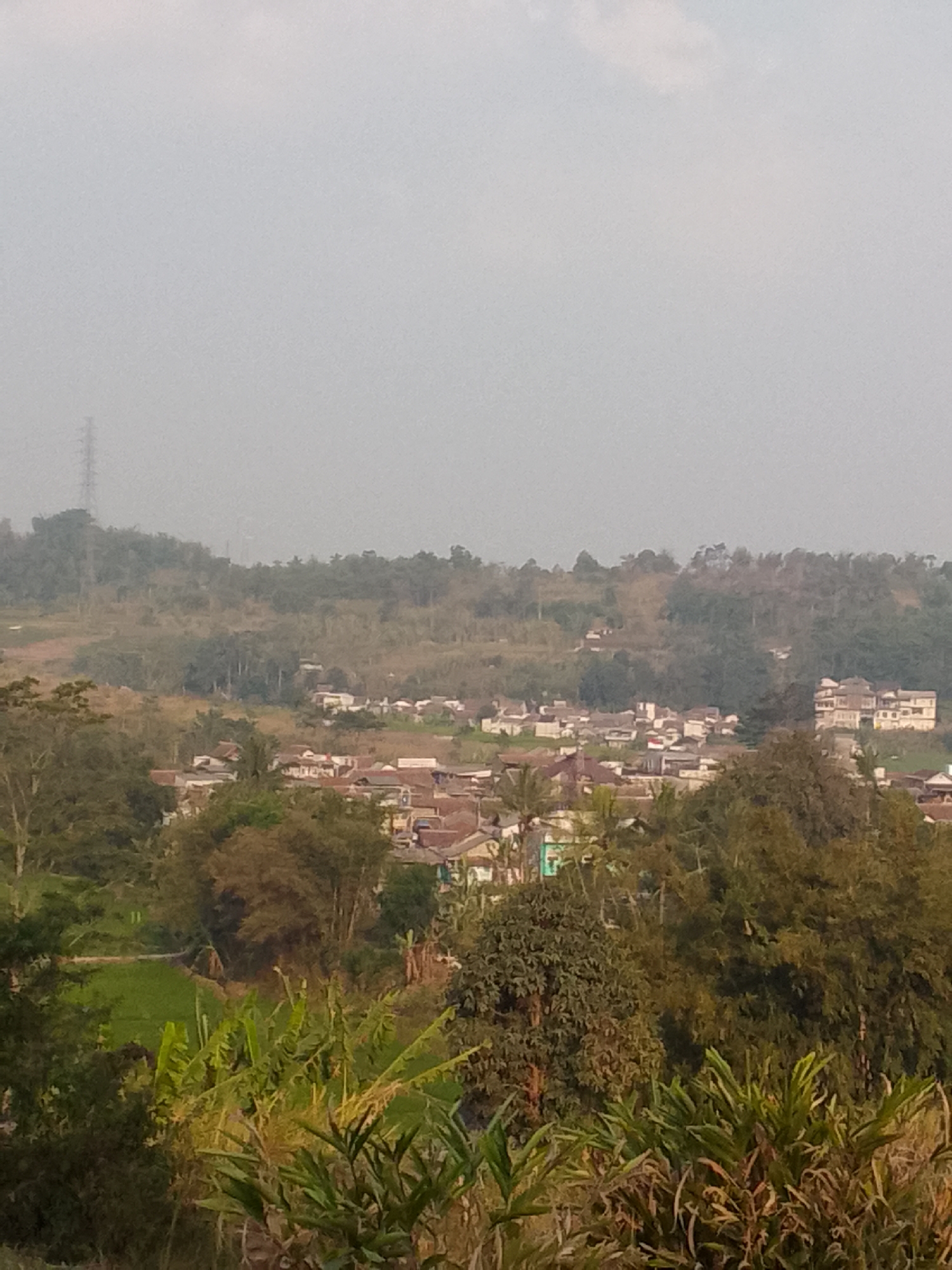 This image depicts a hazy, elevated view of a rural or semi-rural landscape in the vicinity of Padalarang, Indonesia. The foreground is dominated by dense, lush green foliage, including broad-leaved plants that appear to be banana plants or similar tropical vegetation. Behind this, the landscape transitions to a village with numerous houses, many featuring reddish-brown tiled roofs. The houses are clustered together, indicating a residential area.
Further in the background, rolling hills covered with a mix of trees and dry grass rise. A prominent structure resembling a telecommunications tower stands on one of the distant hills, suggesting the presence of infrastructure. The sky is overcast or hazy, contributing to the muted colors and soft focus of the scene. There are no visible people or animals in the image. The overall impression is one of a tranquil, agrarian community nestled within a natural, hilly environment.