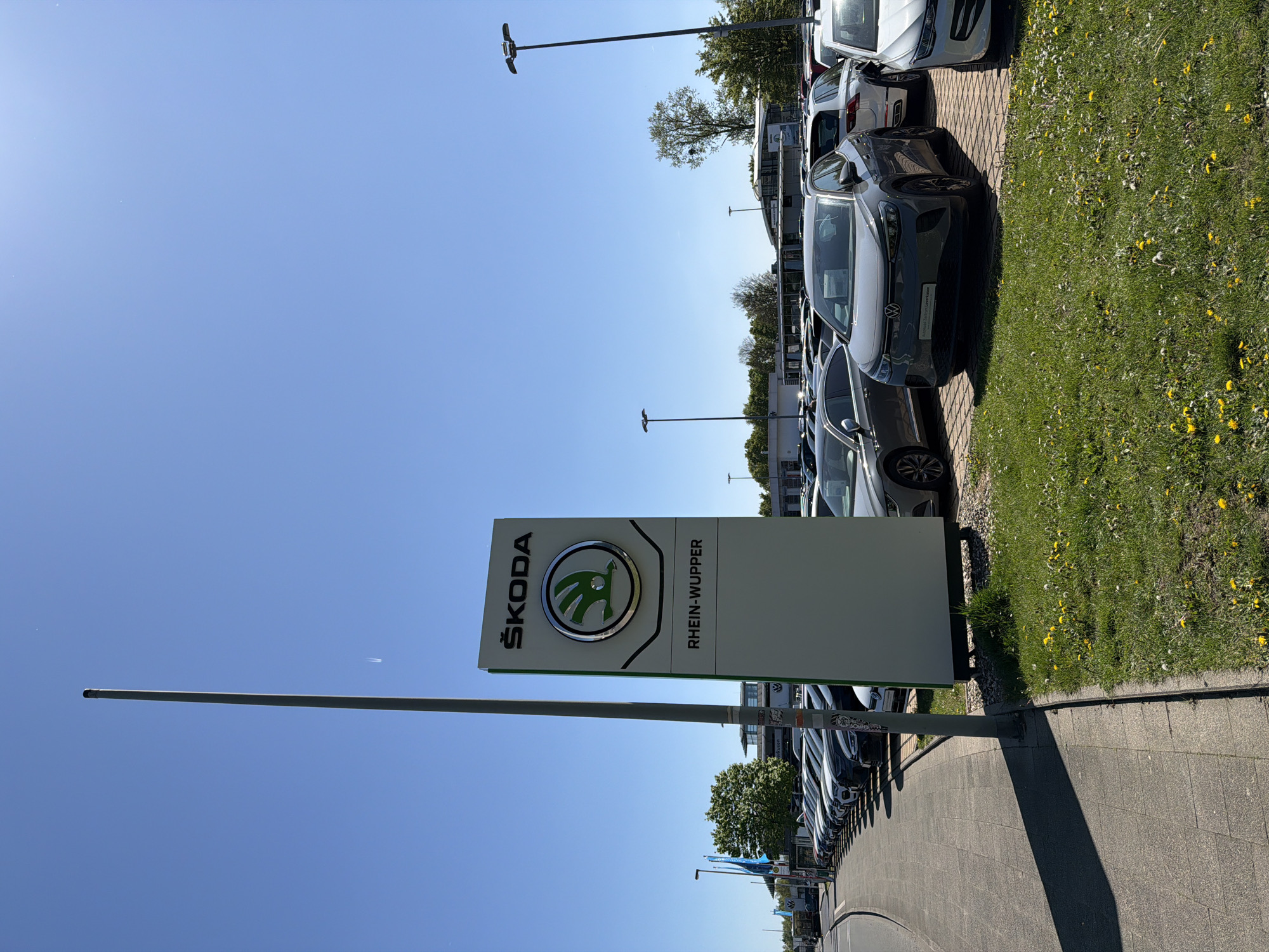 The image depicts the exterior of a Škoda Rhein-Wupper dealership, identified by the tall, vertical sign displaying the Škoda logo and the words "ŠKODA" and "RHEIN-WUPPER." A row of Škoda vehicles are parked along the side of a paved walkway, with a grassy area covered in dandelions adjacent to the cars. The scene is illuminated by bright sunlight under a clear, blue sky. The dealership is located in Leverkusen, Germany.