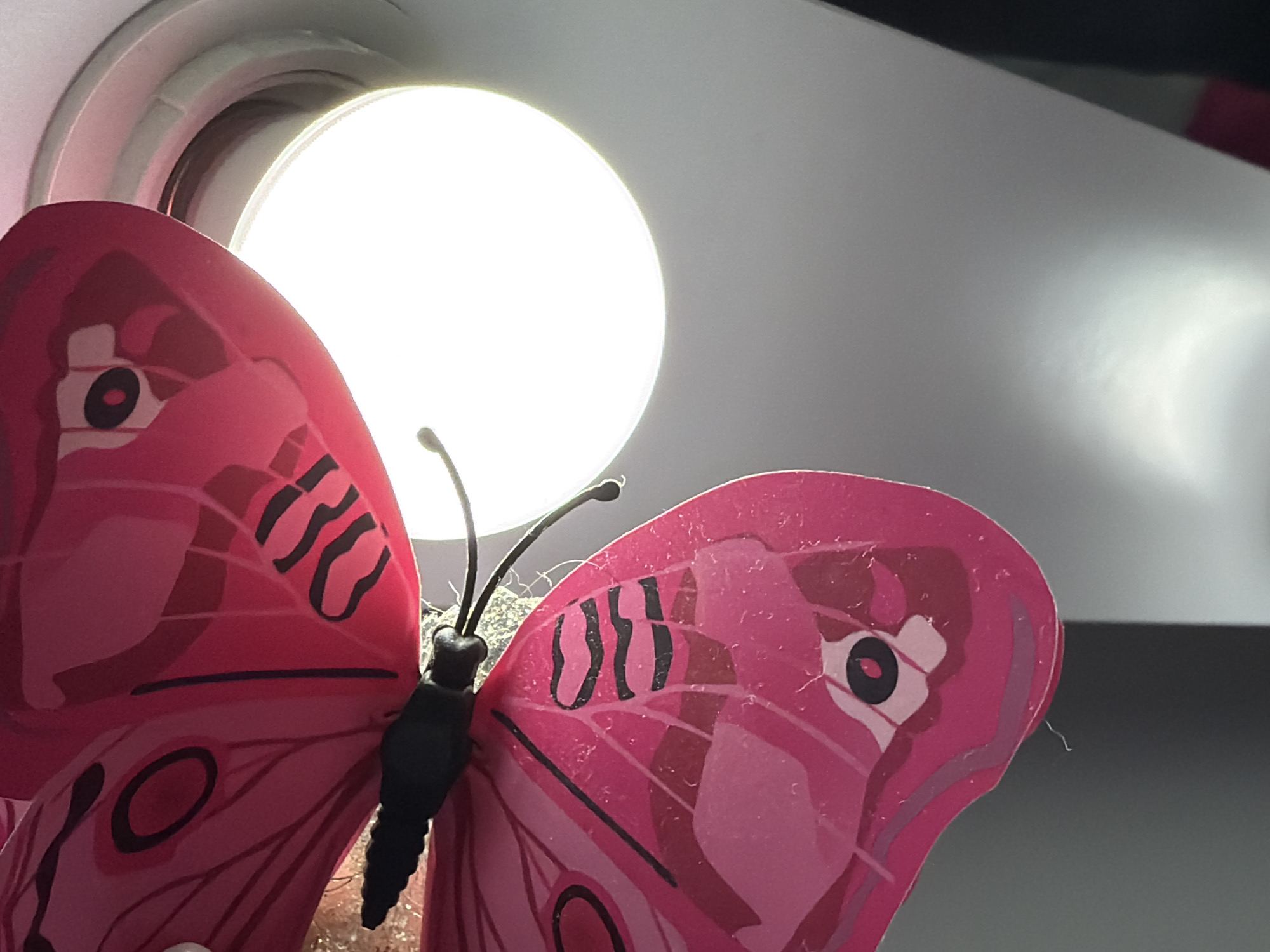 An extreme close-up shot features a pink butterfly decoration, positioned near a bright light source. The butterfly's wings display intricate black markings, resembling those found on a butterfly. The light source, possibly a ceiling light, is prominently visible and casts a strong glow on the scene. The background is mostly dark, with some lighter gray areas that suggest a room or interior space. The image does not contain any information indicating its location in Kyiv, Ukraine, or any specific context about people, actions, or interactions.