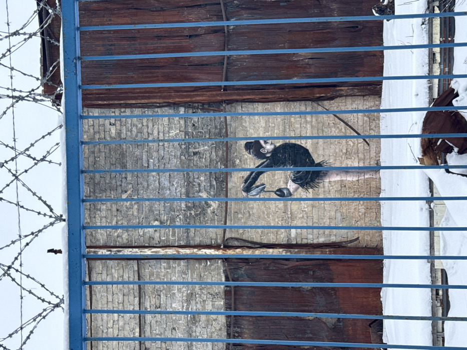 The image showcases Banksy's mural of a gymnast, viewed through a blue, barred fence with barbed wire. The mural depicts a female figure with a bun, wearing a black dress with a fringed skirt, balancing on rubble. The backdrop appears to be a brick wall, with wood paneling above and below. To the right, beyond the fence, there is snow. The angle is tilted, giving a distorted perspective.