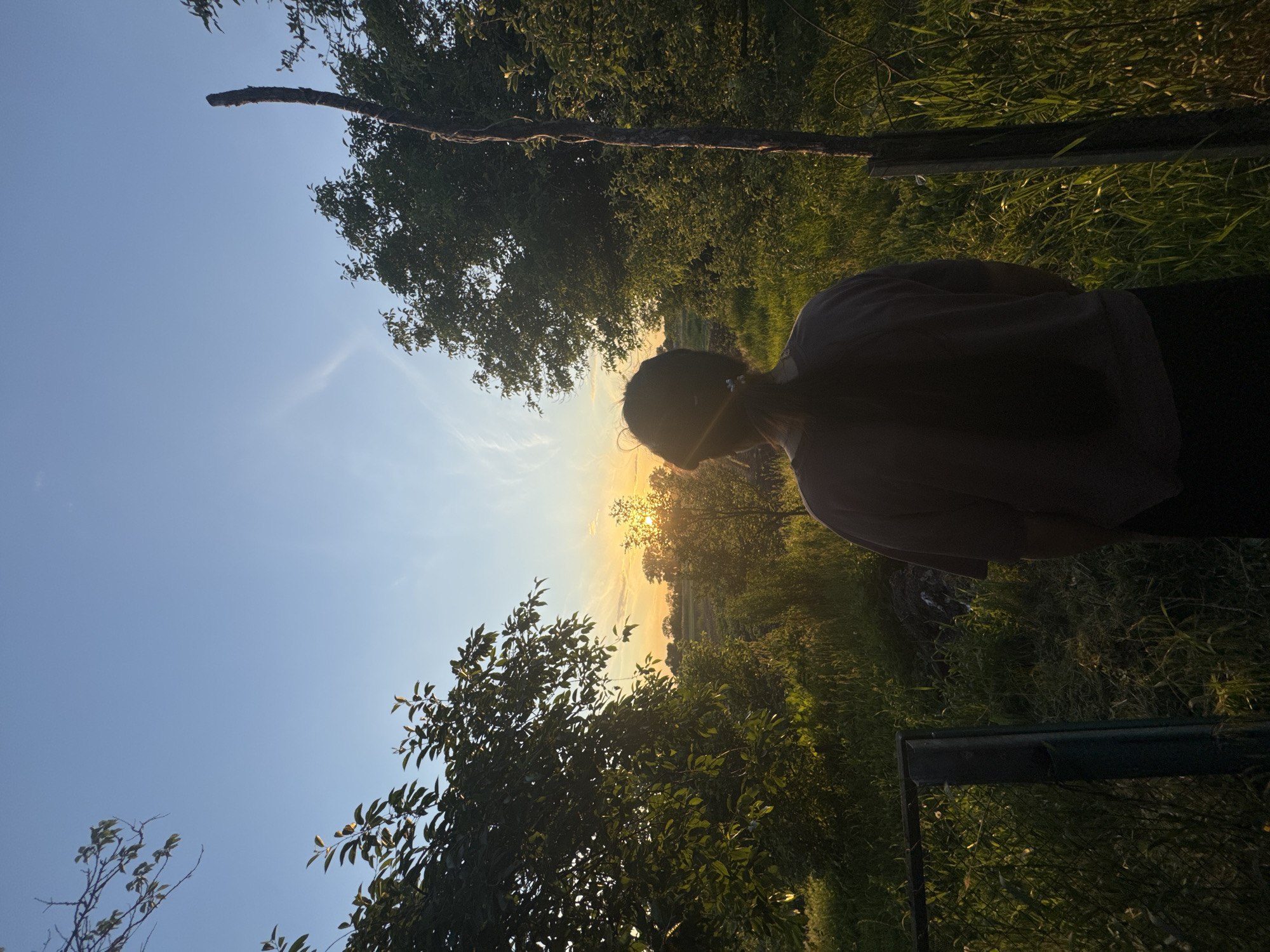 The image depicts an outdoor, natural landscape bathed in golden hour lighting, suggesting either sunrise or sunset, in the city of Unknown, Unknown. The sun is low on the horizon, positioned center-right, partially obscured by a small tree, casting a strong, warm glow across the scene. The sky transitions from clear blue at the top to hues of orange and yellow near the horizon, with thin, wispy clouds.
In the foreground, a person is seen from the back, centrally positioned, facing away from the viewer and towards the sun. The individual has long, dark hair tied back in a low ponytail with a visible hair tie, and wears a dark, loose-fitting t-shirt and dark pants. To the far left, a partial metal gate or fence structure, dark green and possibly chain-link, is visible amidst tall, wild green grass. To the far right, a weathered, rustic wooden post, possibly a fence post, stands upright with some vines or growth wrapped around it.
The midground is dominated by dense, green foliage, consisting of various trees and bushes. The vegetation on both sides of the person is lush, with some leaves reflecting the warm sunlight while other areas remain in shadow. Beyond the immediate foreground, the terrain appears to be an expanse of overgrown grass and wild plants. In the background, a flat horizon line is visible, with a distant line of trees silhouetted against the bright sky, suggesting open fields or undeveloped land beyond the immediate vegetation.