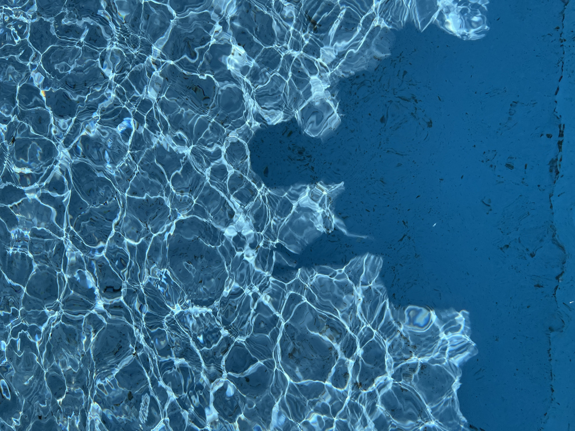 The image shows a section of a blue swimming pool filled with water. Light refractions create a complex network of lines and patterns on the water's surface. A distinct shadow falls across the water, contrasting the rippled surface with an area of relative stillness. No people are visible. The pool's location in Plovdiv, Bulgaria cannot be determined from the image.