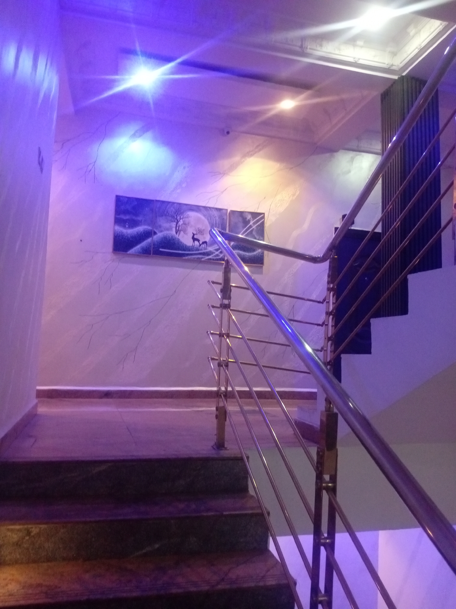The image depicts an indoor staircase with a metallic railing and marble steps. The walls are painted in a light color and adorned with what appears to be a mural of tree branches. A framed artwork of a moonlit landscape with deer is hung on the wall. The scene is illuminated by purple and white lights, creating a dramatic ambiance. The location is identified as Sabon Gari East, Nigeria. There are no people visible in the image.