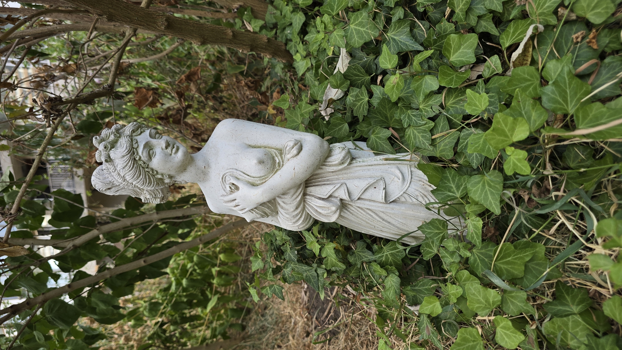 A white stone statue of a partially unclothed woman is positioned outdoors amidst dense green ivy and dry grass. The statue depicts the woman from the chest up, with her arms crossed over her torso and her head tilted slightly. Her hair is styled in an elaborate updo. In the background, blurred trees and foliage are visible, as well as a portion of a building with balconies. The scene is situated in the city of Antwerp, Belgium.