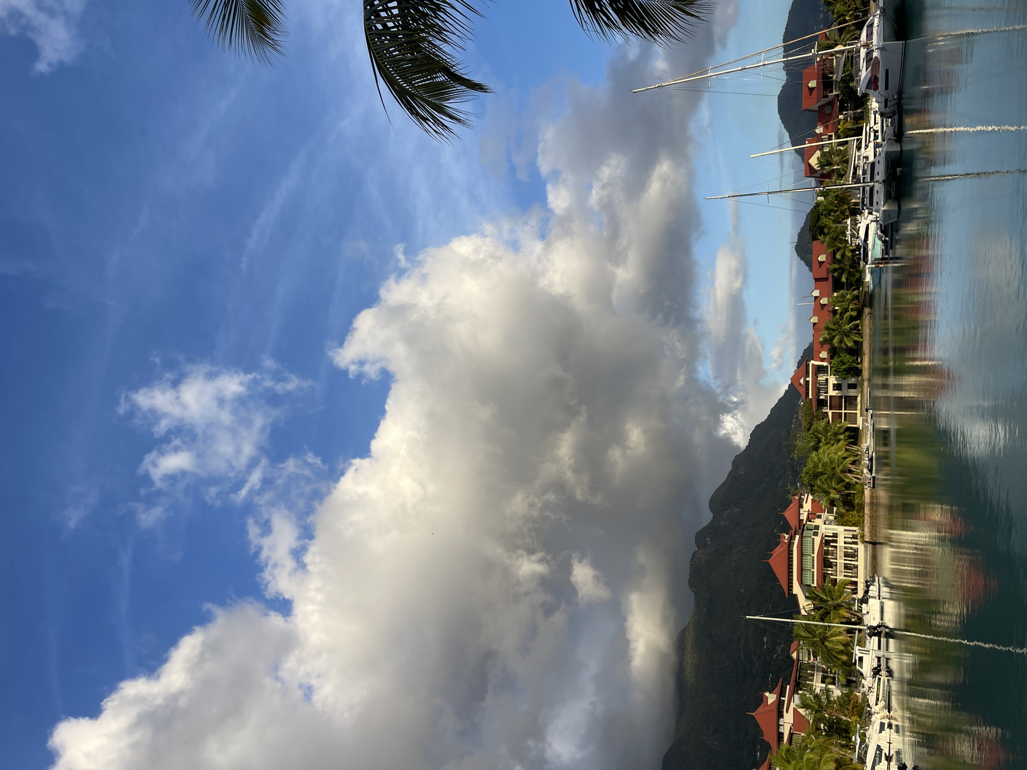A marina in Providence, Seychelles, is shown with several sailboats docked and buildings with red roofs lining the shore. The sky is blue with white clouds. Palm trees are visible in front of the buildings. The water is calm and reflects the sky and buildings.