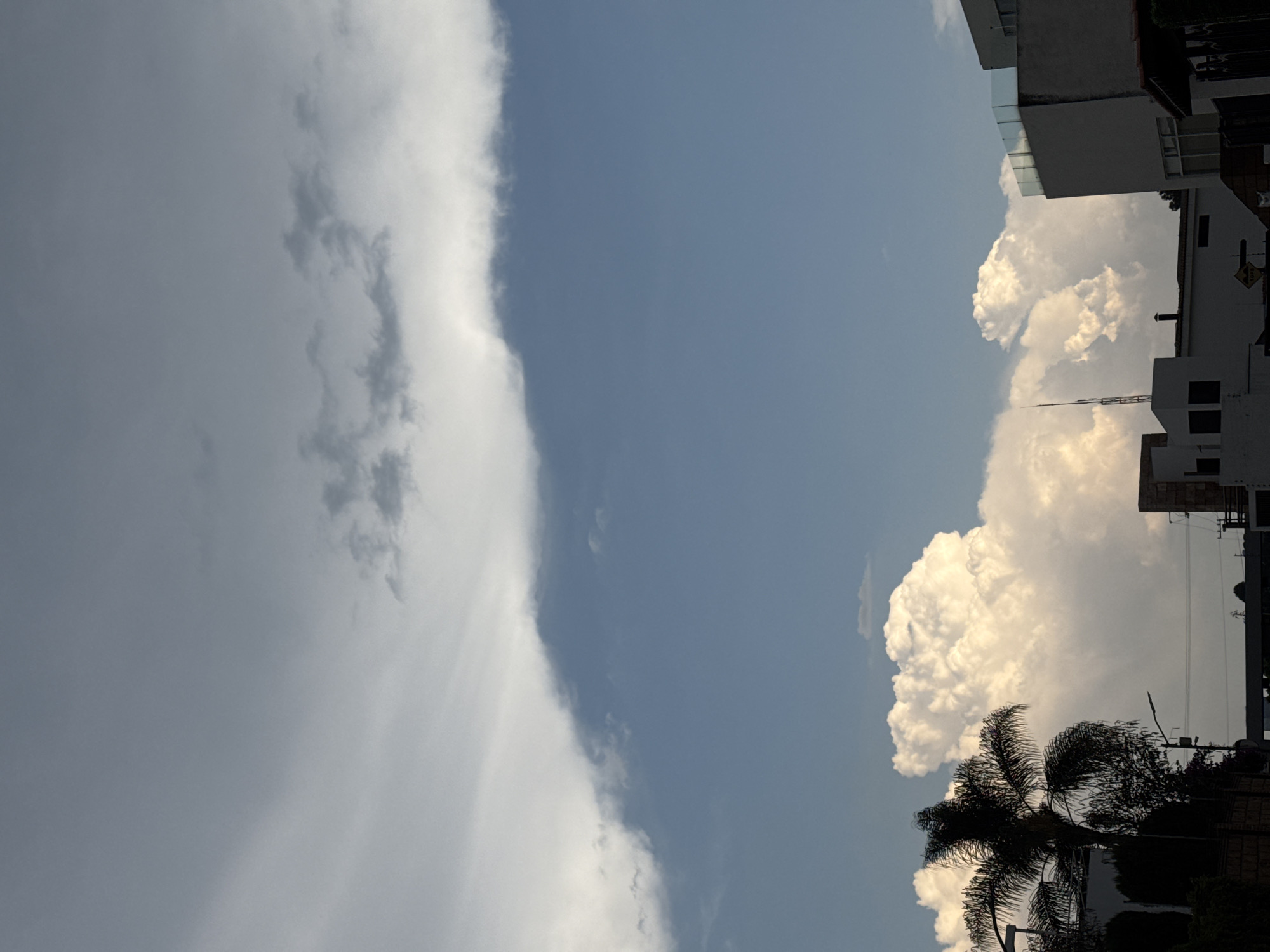 The image, taken in San Bernardino Tlaxcalancingo, Mexico, shows a view of the sky framed by buildings and a palm tree. A stark contrast exists between the left side of the image dominated by dark, heavy clouds and the right side featuring a clear blue sky with large, bright white cumulus clouds. Buildings are partially visible on the right edge. The palm tree occupies the lower right corner. There are wires and poles visible near the buildings. The scene appears to capture a weather transition, with a storm approaching or receding.